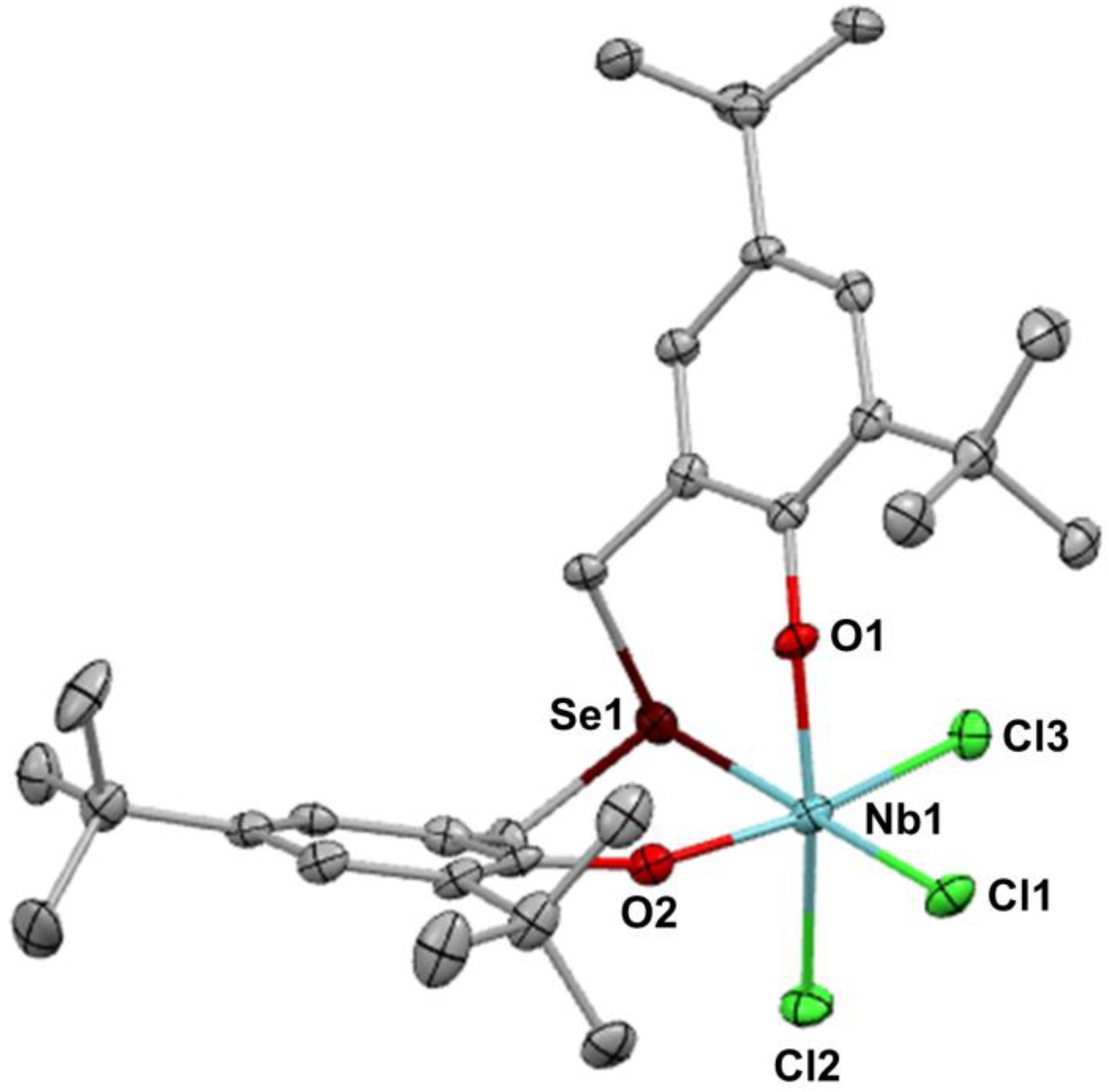 Molecules 28 02573 g001 Molecules 28 02573 g001