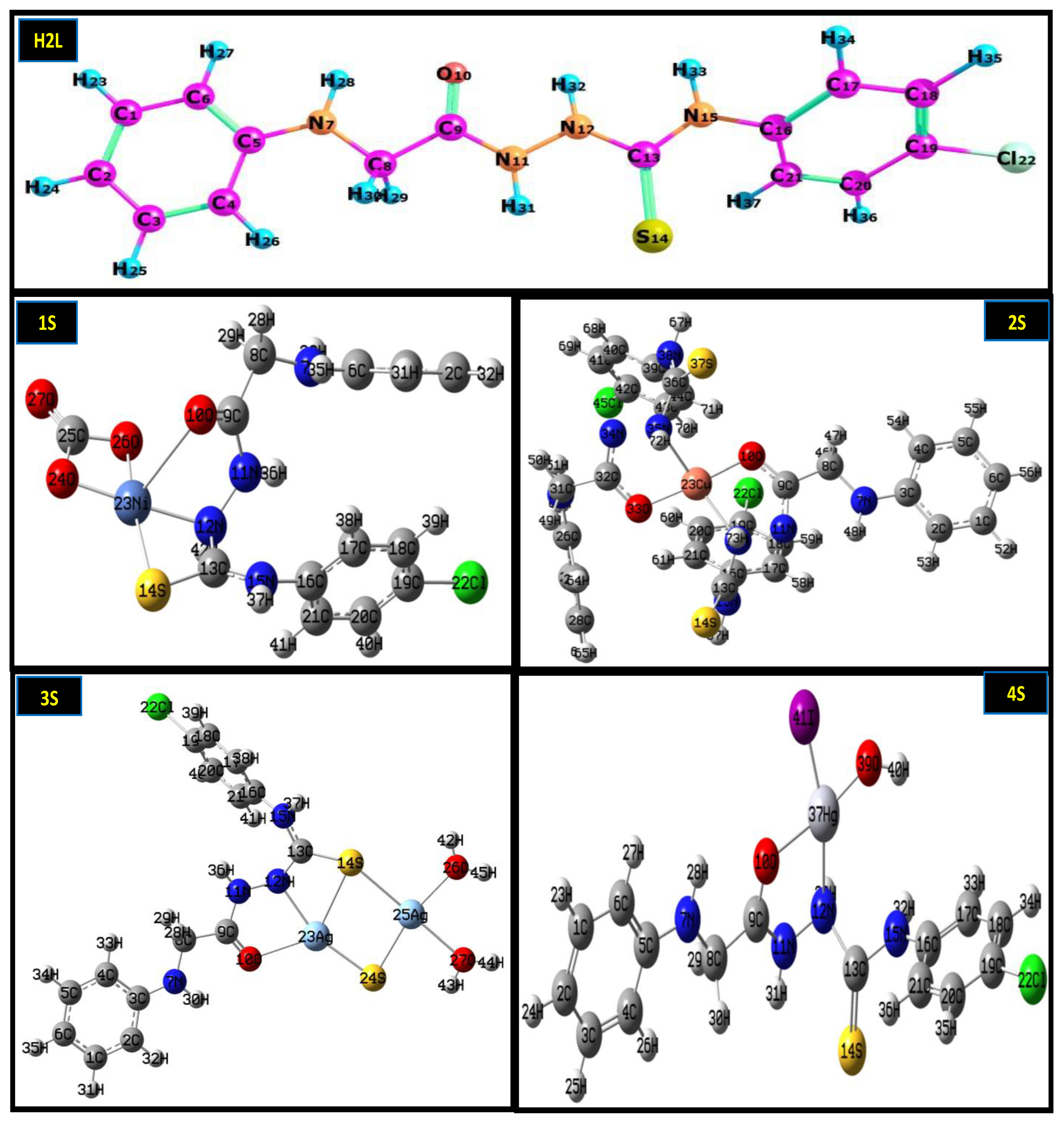 Molecules 28 02590 g005