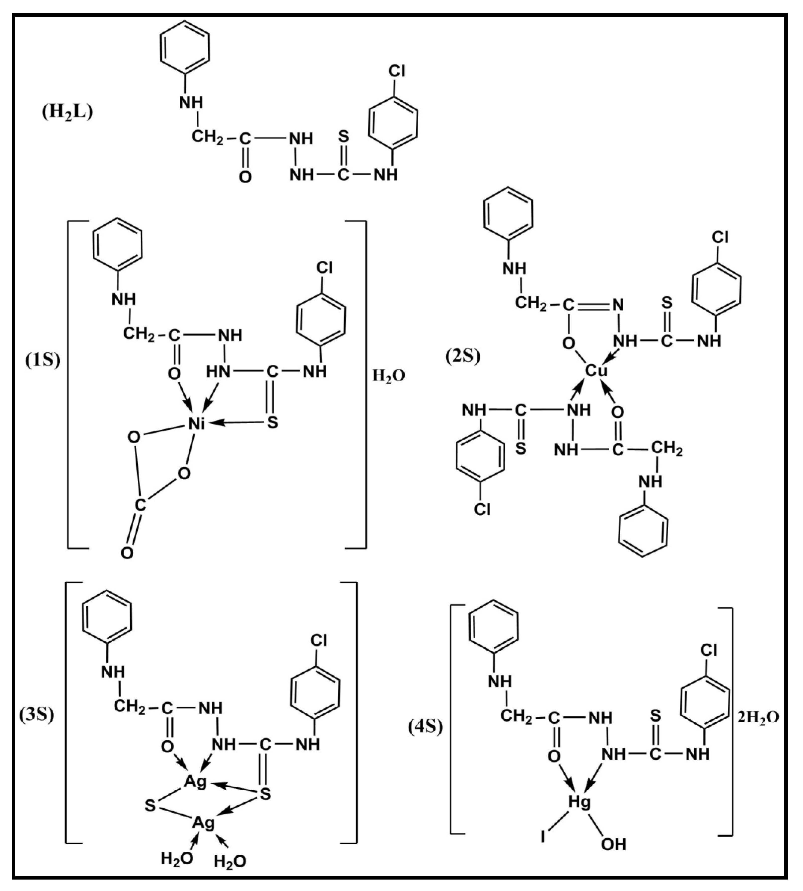 Molecules 28 02590 sch001