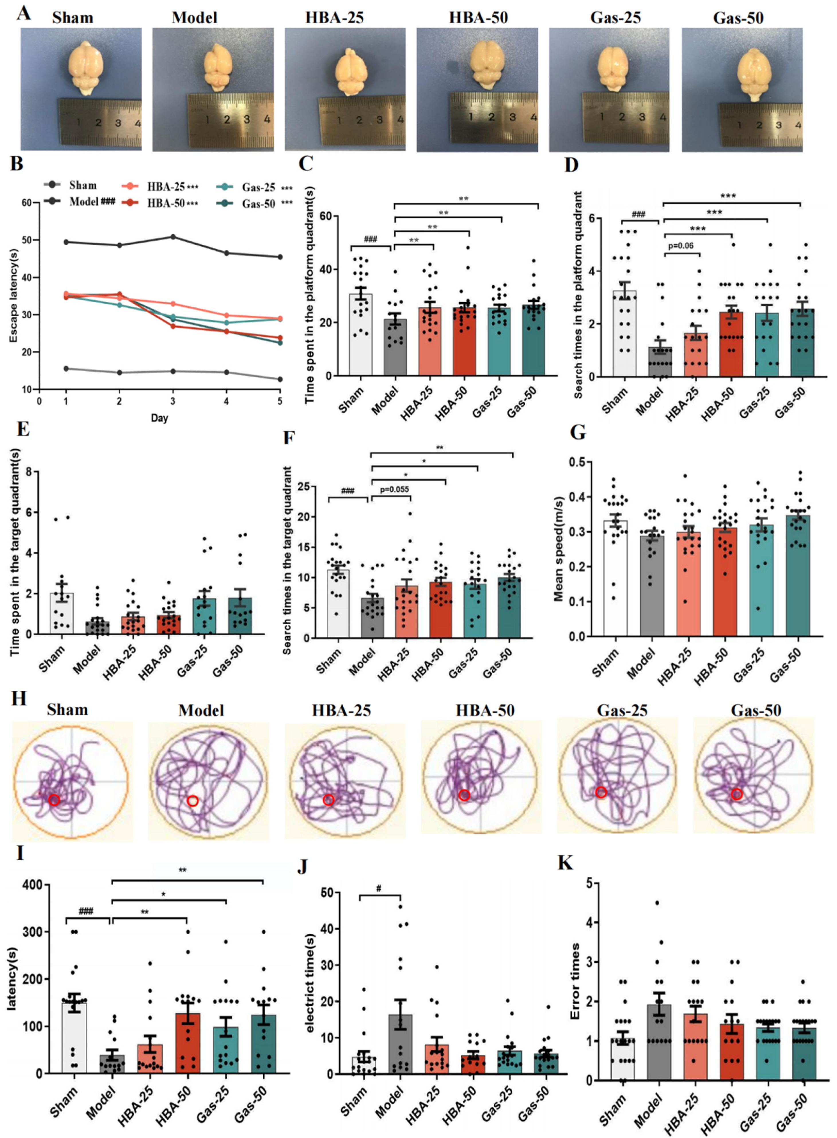 Molecules 28 02598 g001 Molecules 28 02598 g001
