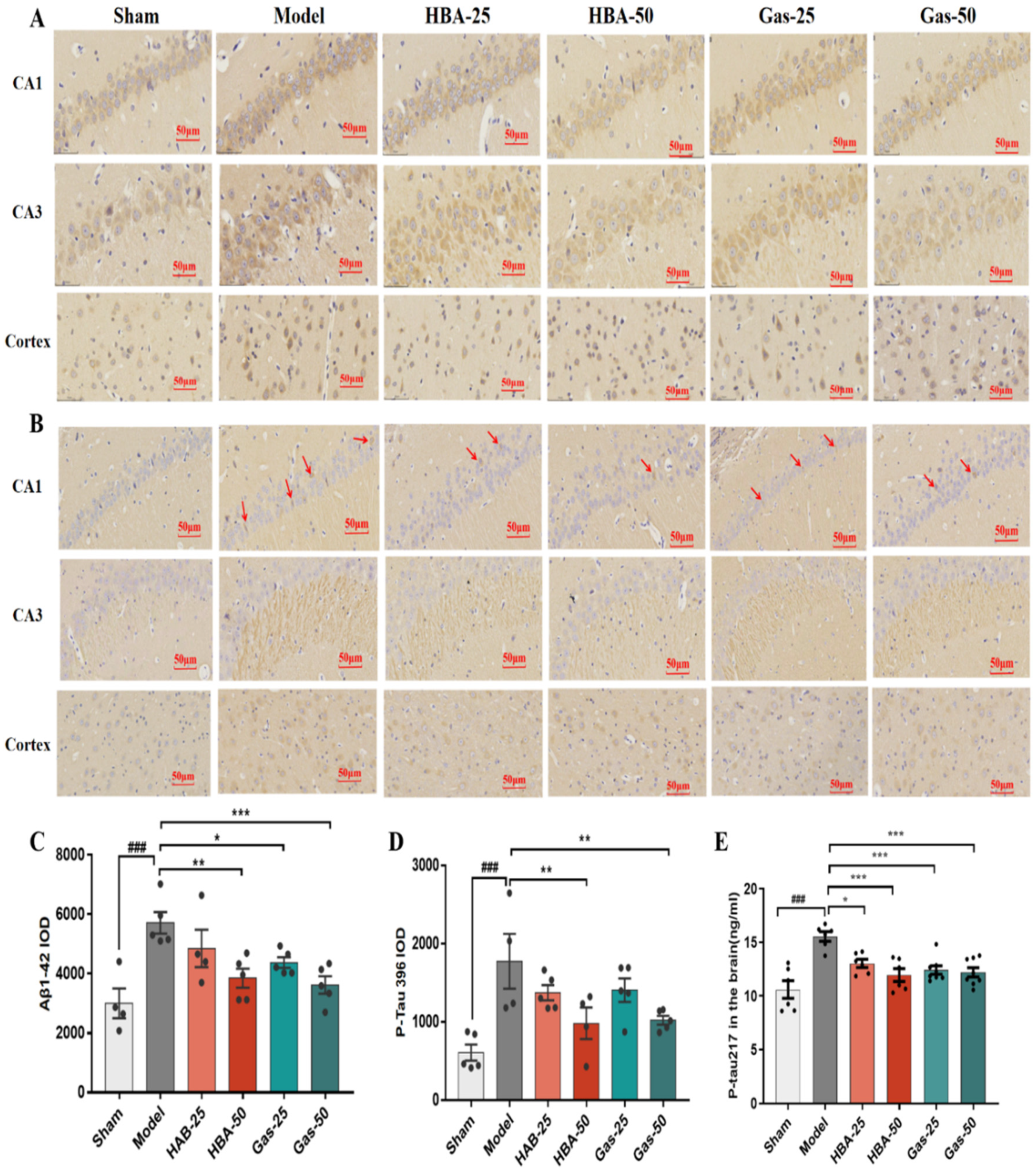 Molecules 28 02598 g003 Molecules 28 02598 g003