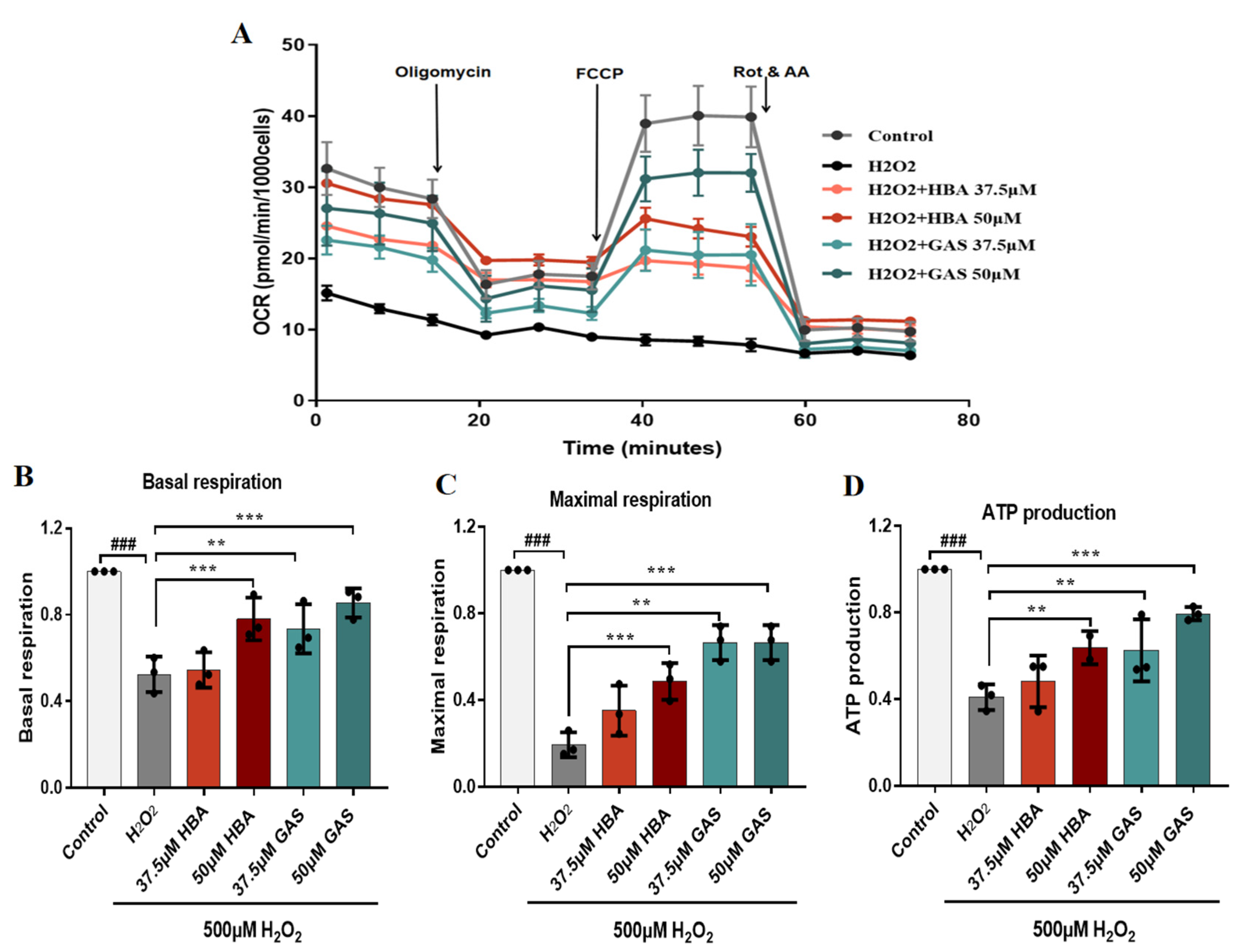 Molecules 28 02598 g006 Molecules 28 02598 g006