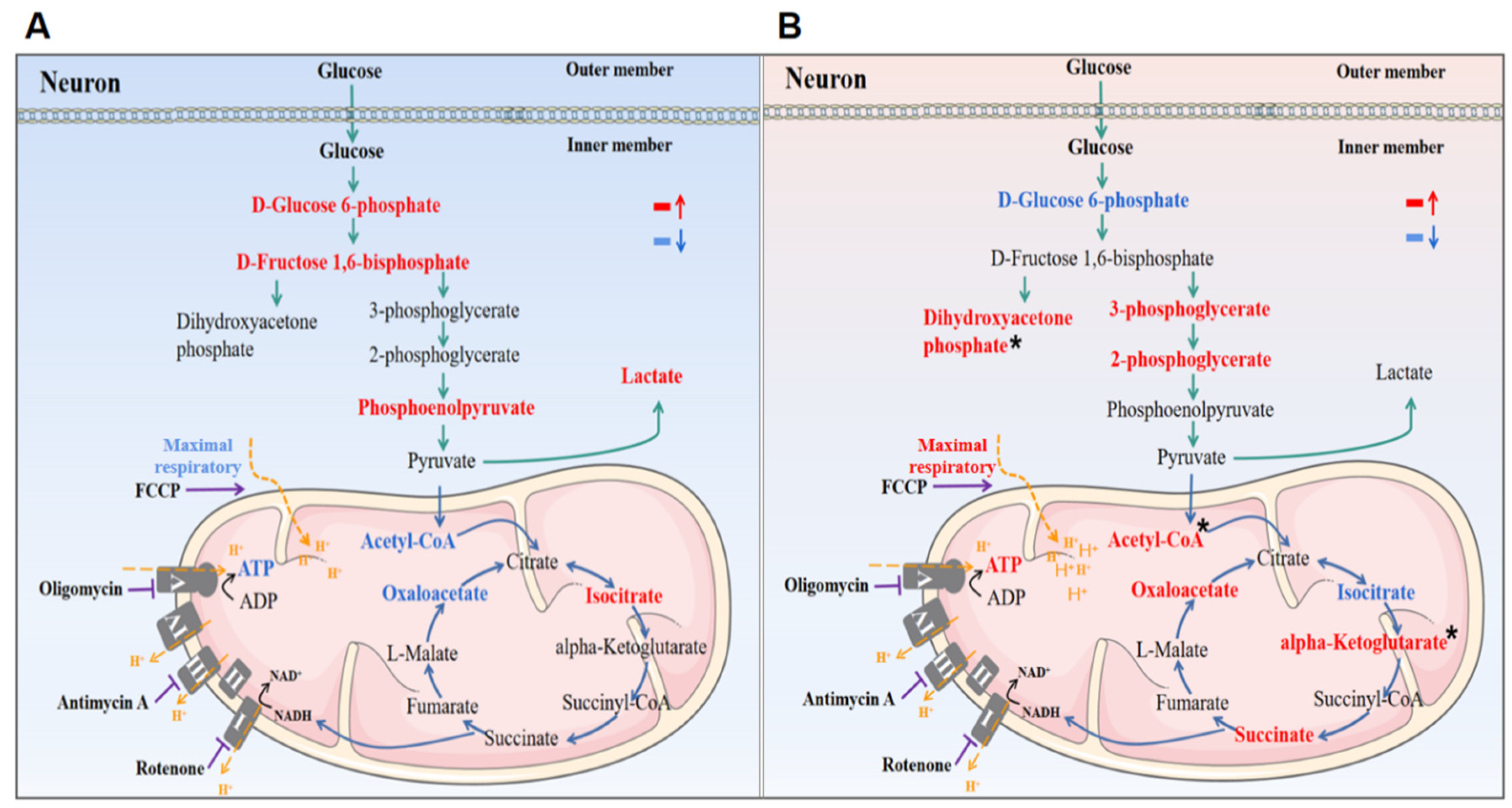 Molecules 28 02598 g007 Molecules 28 02598 g007