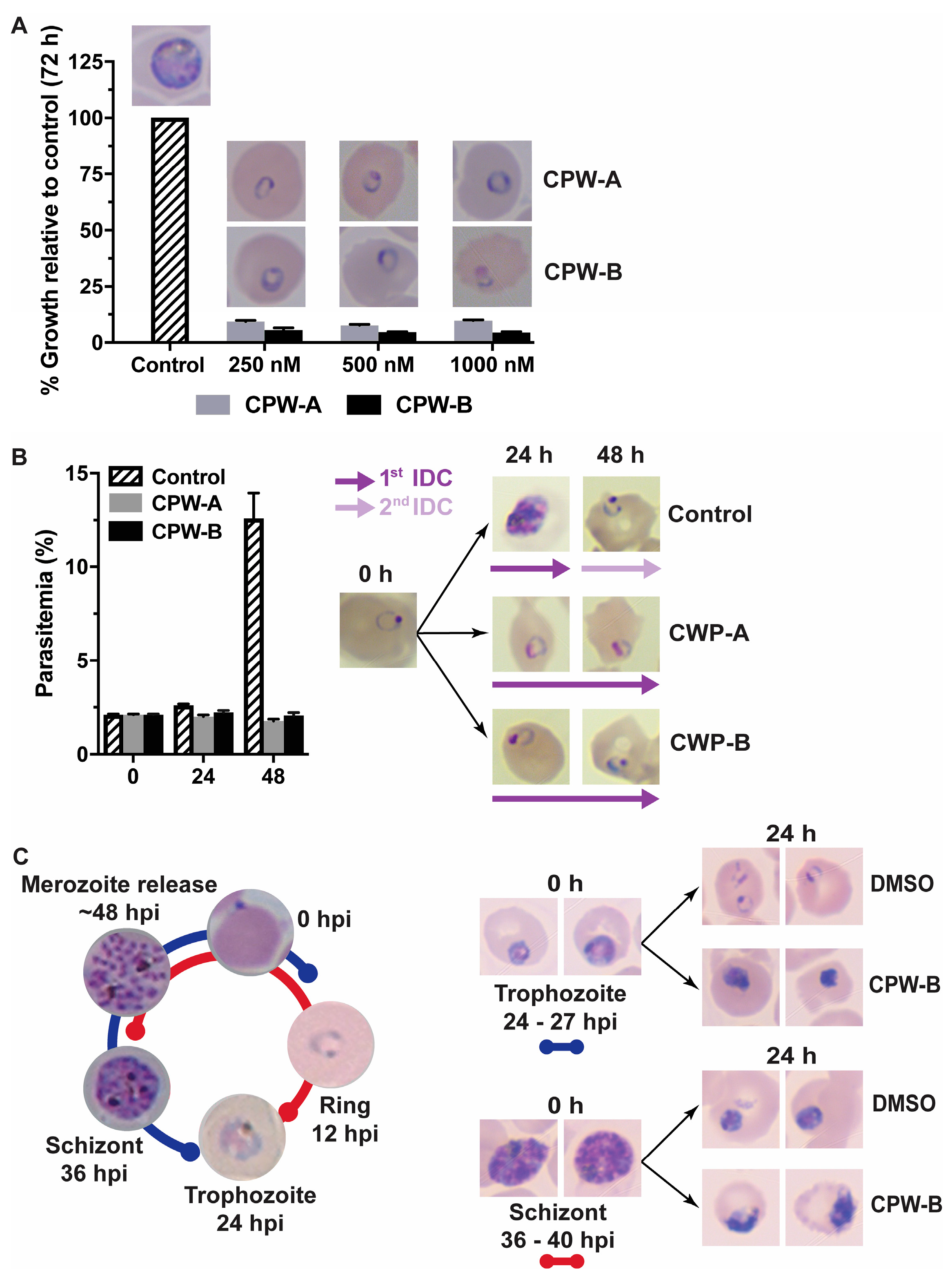 Molecules 28 02600 g003
