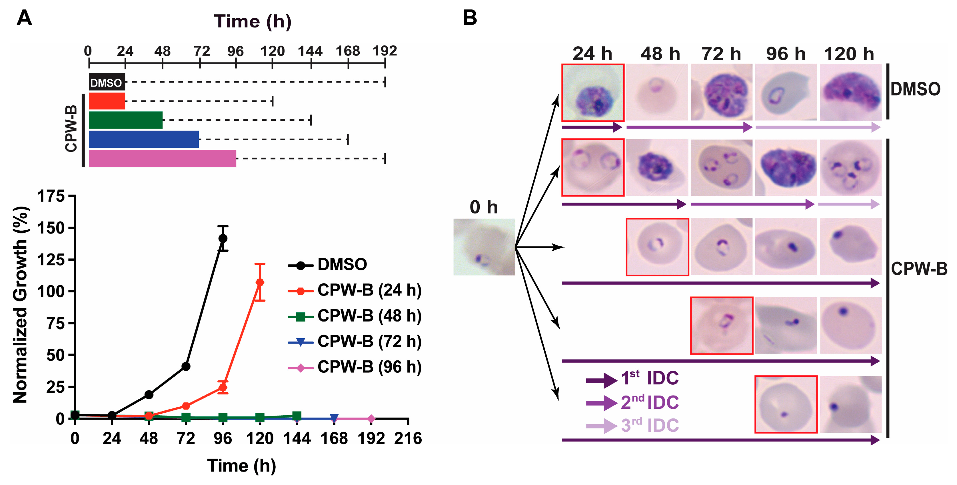 Molecules 28 02600 g004