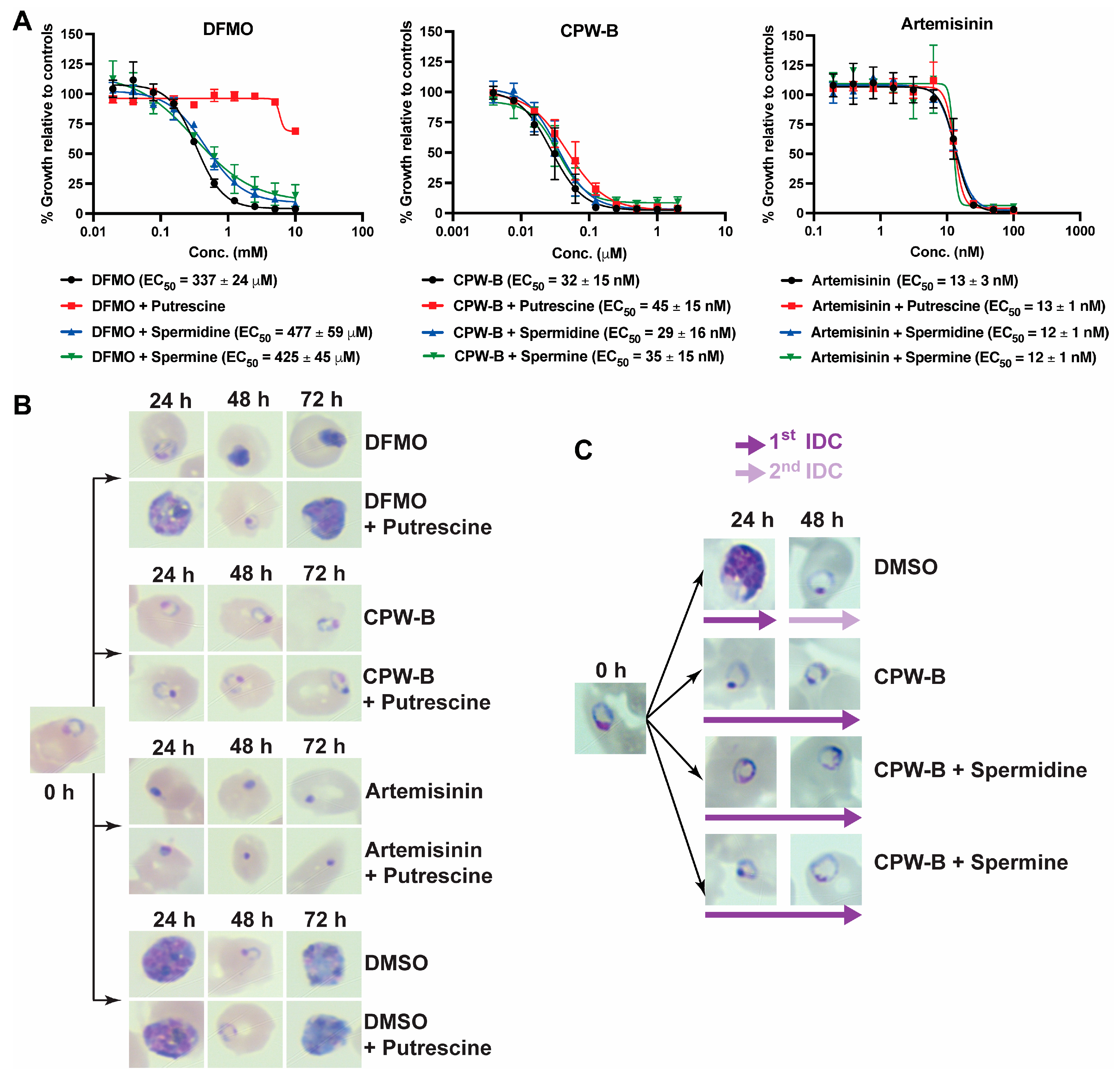 Molecules 28 02600 g006