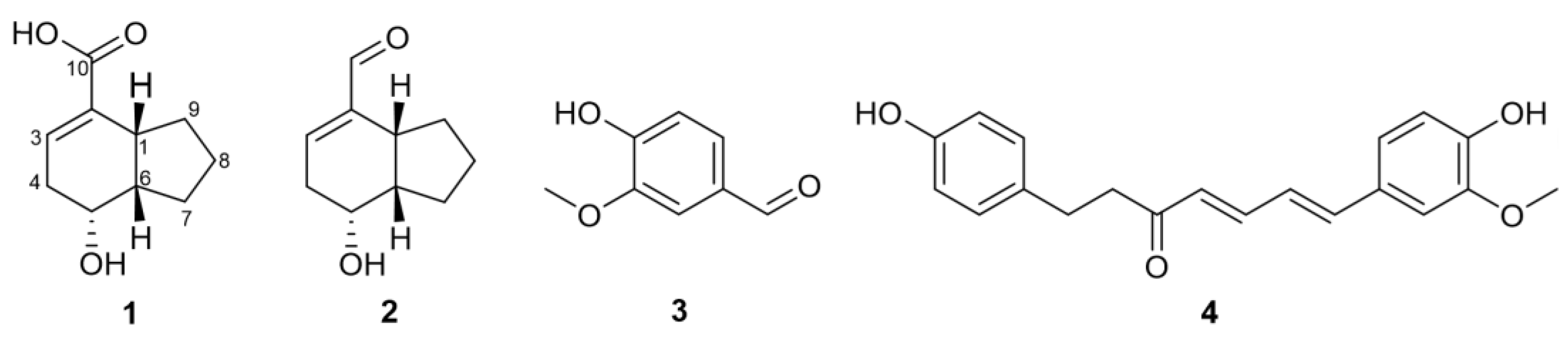 Molecules 28 02602 g001