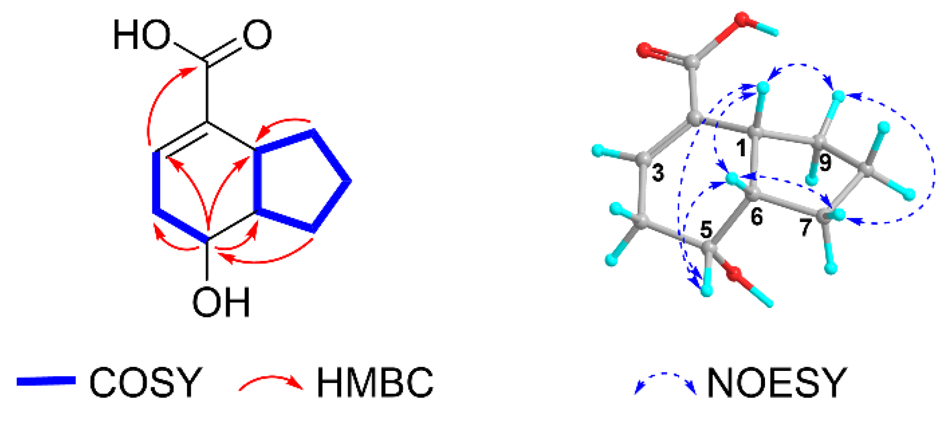 Molecules 28 02602 g002