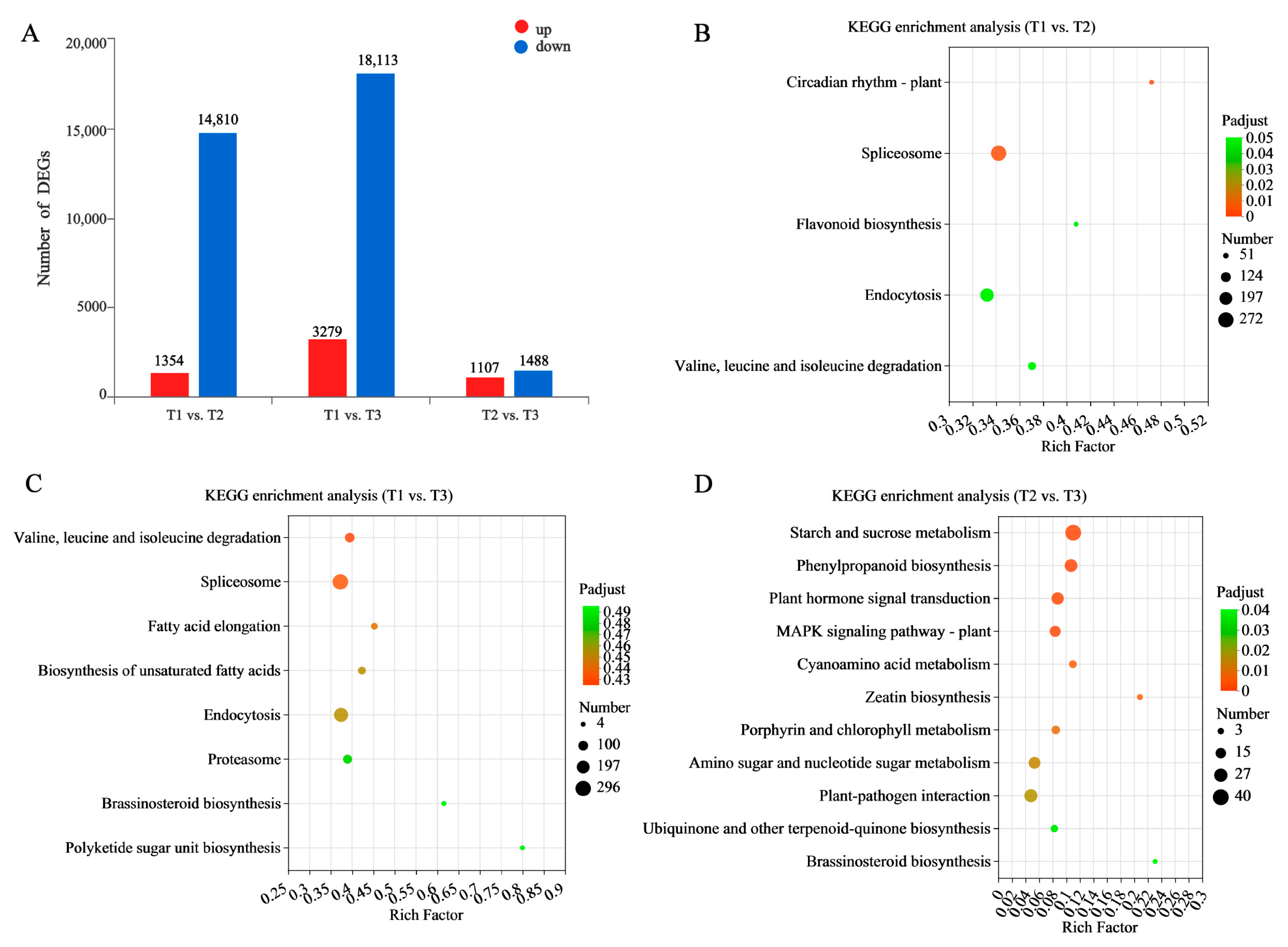 Molecules 28 02603 g004 Molecules 28 02603 g004