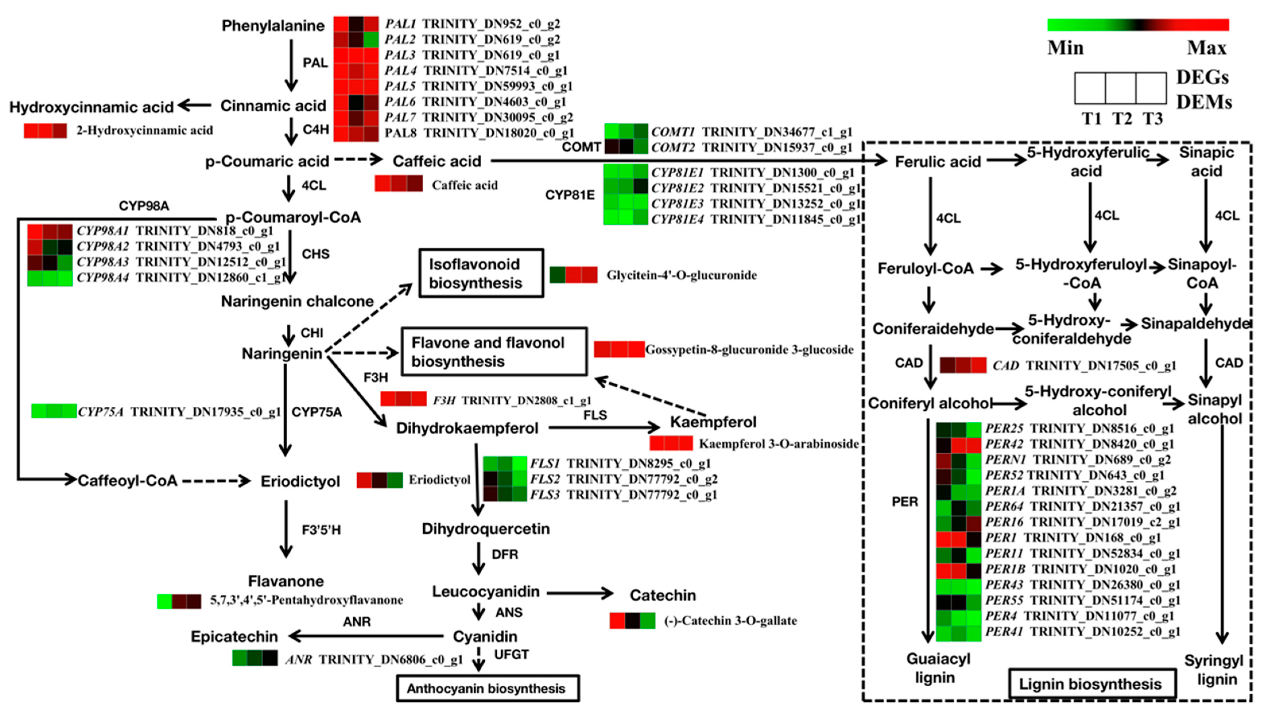 Molecules 28 02603 g009 Molecules 28 02603 g009