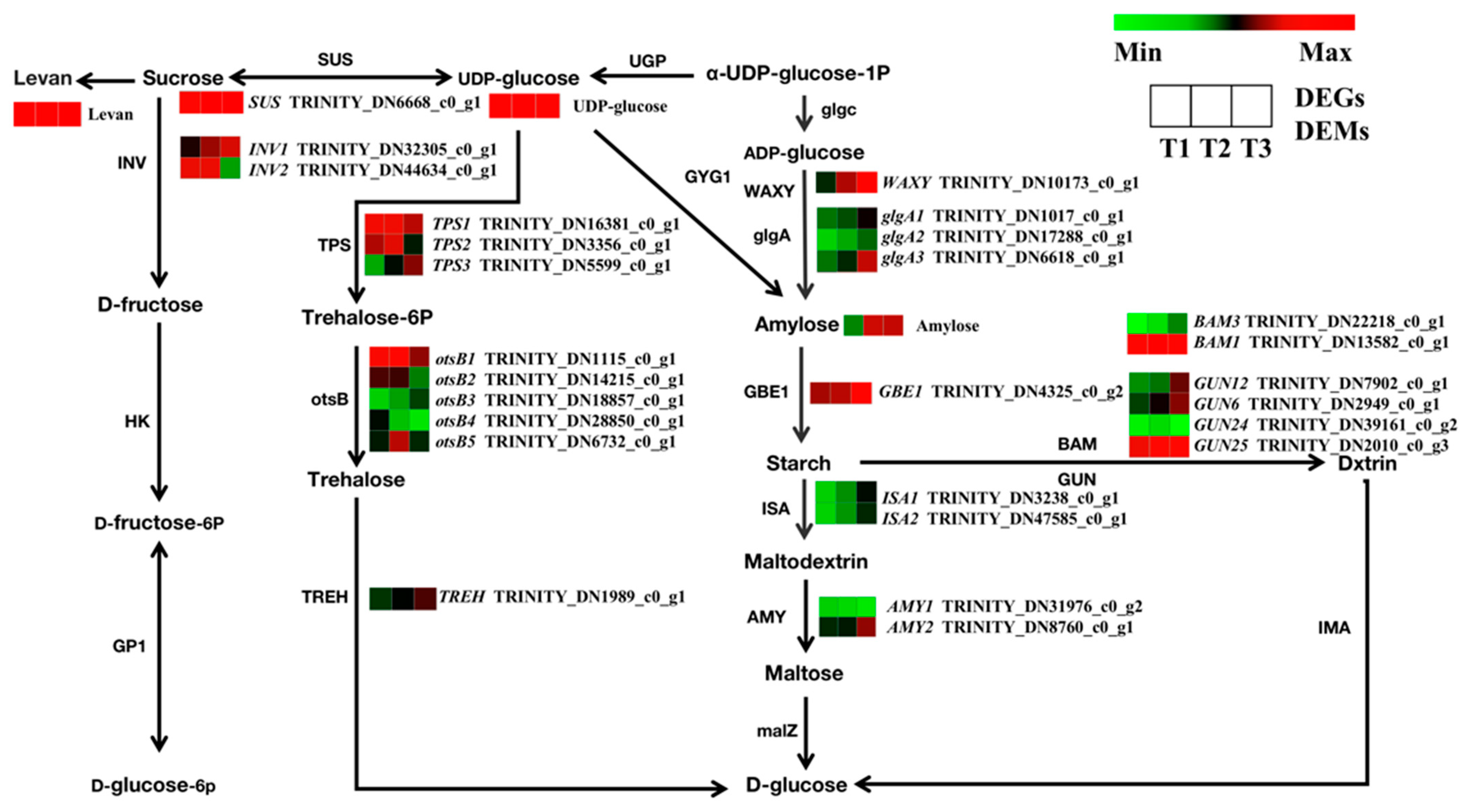 Molecules 28 02603 g010 Molecules 28 02603 g010