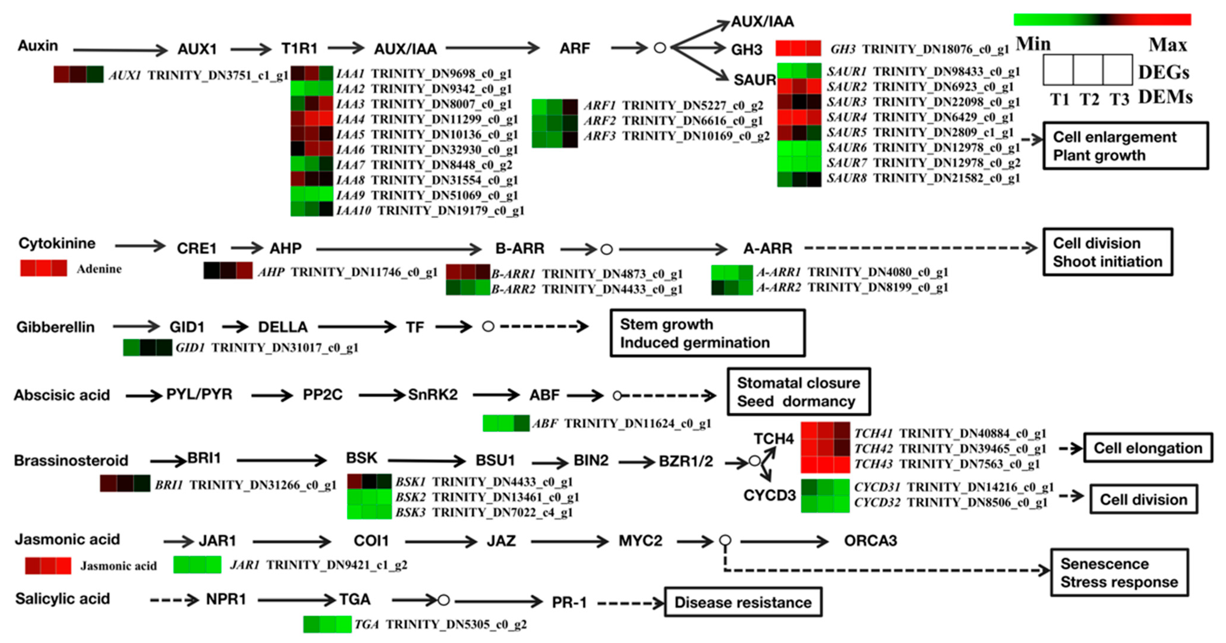 Molecules 28 02603 g011 Molecules 28 02603 g011