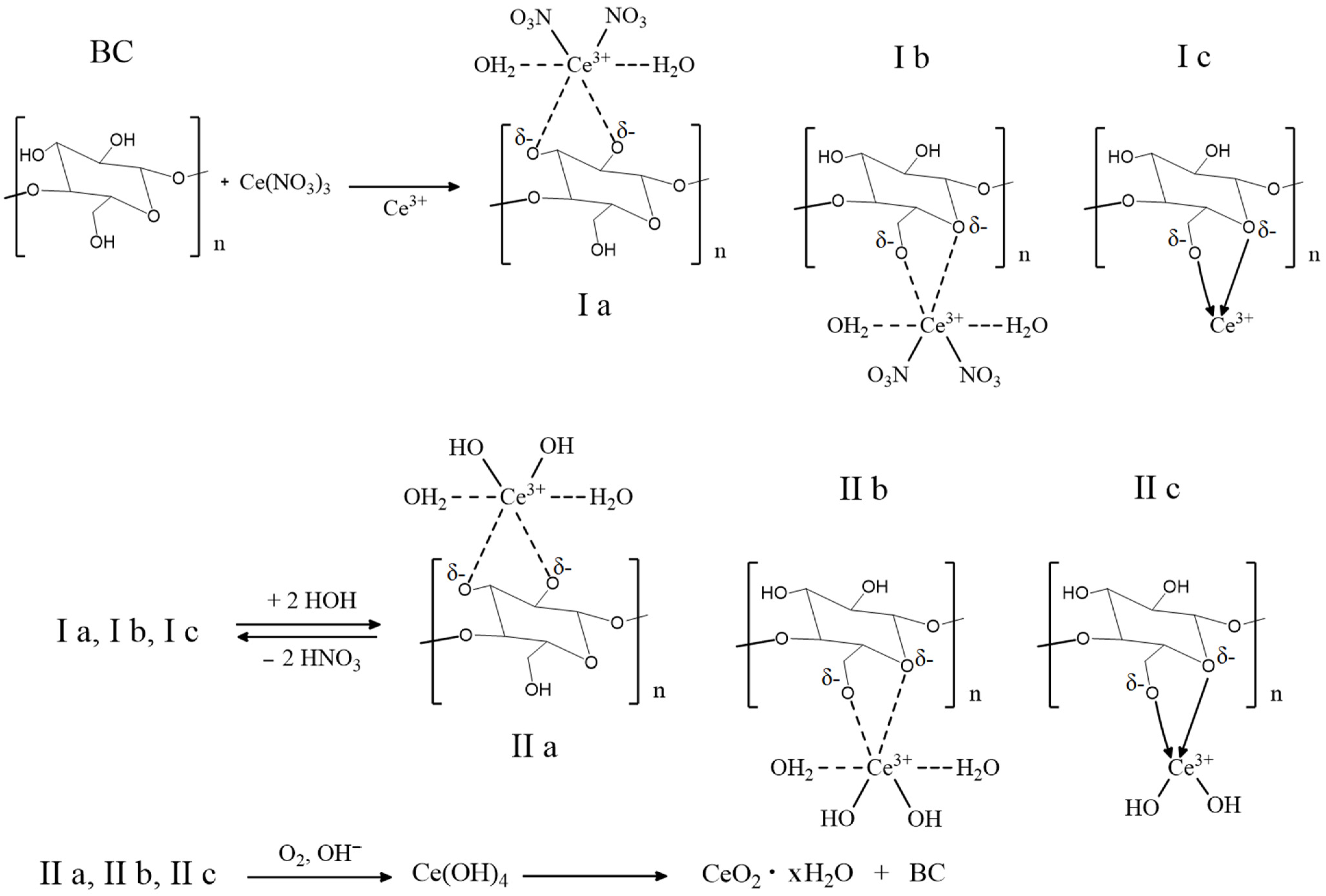 Molecules 28 02604 g001