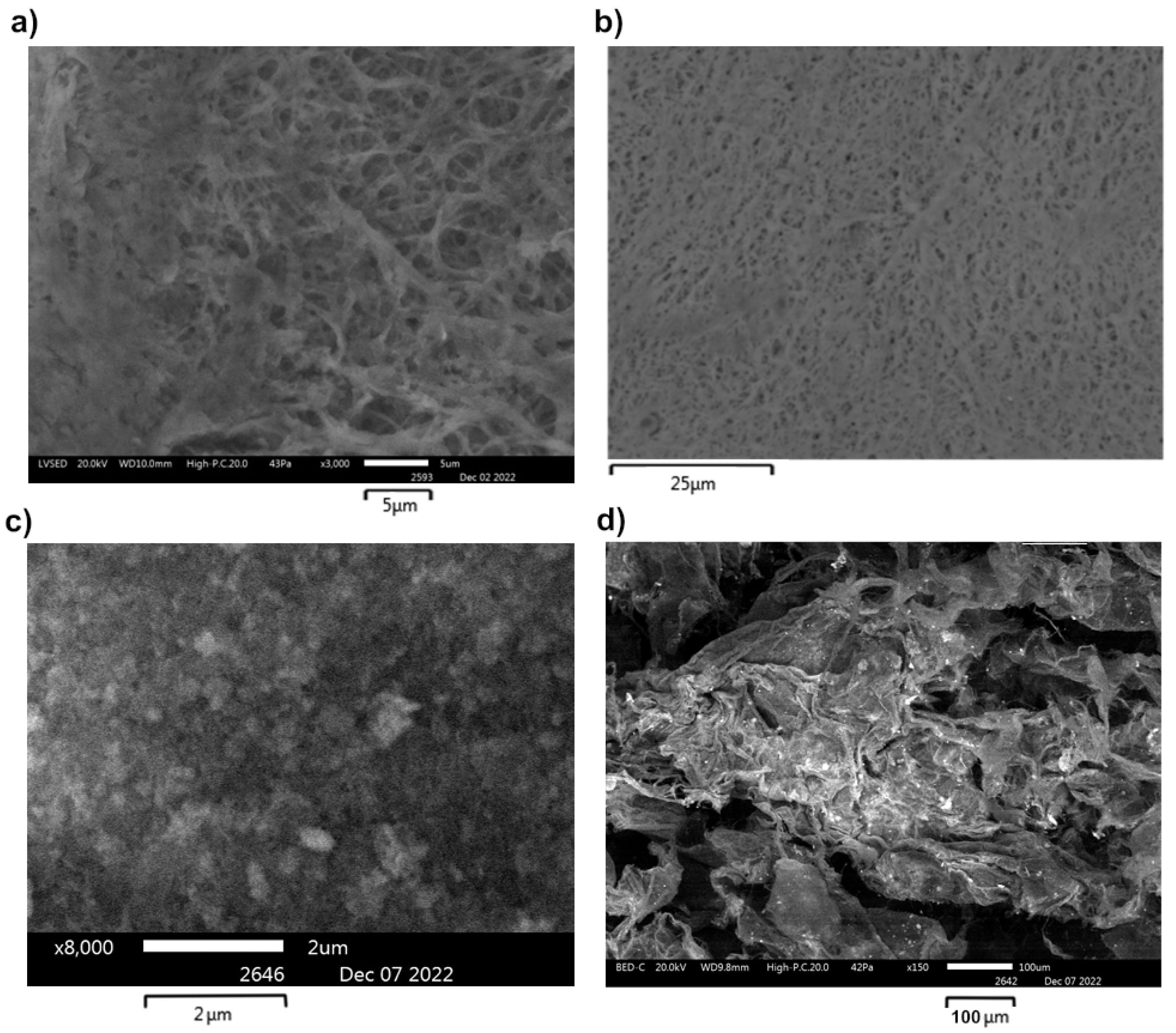 Molecules 28 02604 g004