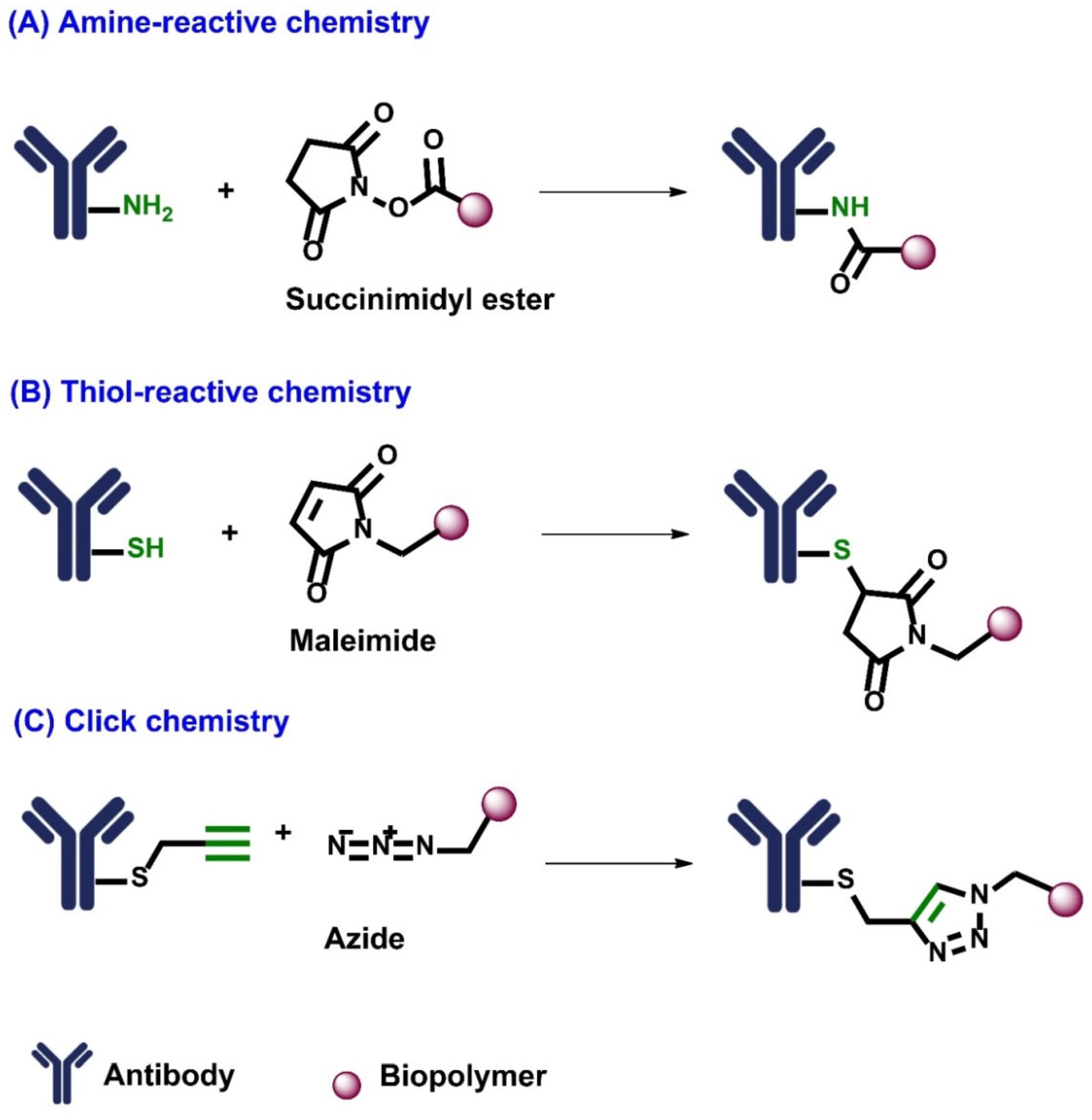 Molecules 28 02605 g002
