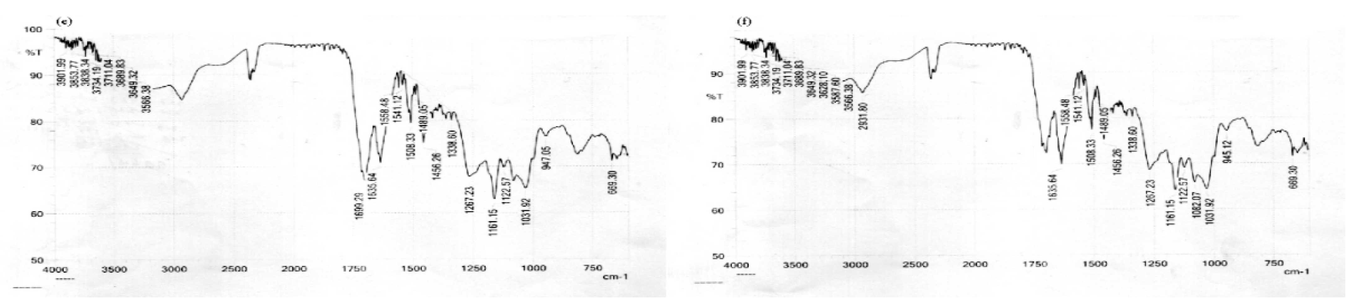 Molecules 28 02606 g004b