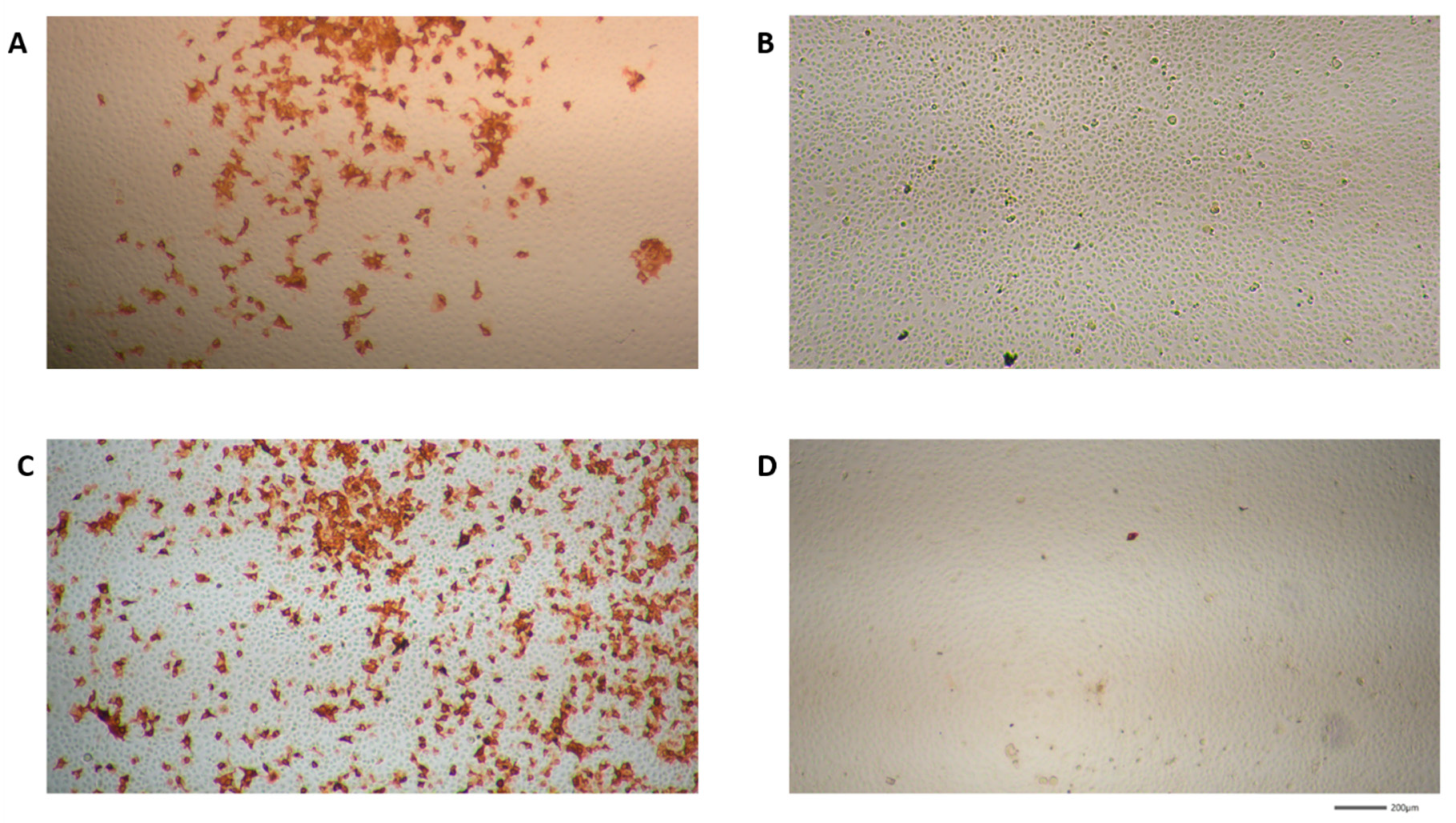 Molecules 28 02612 g005