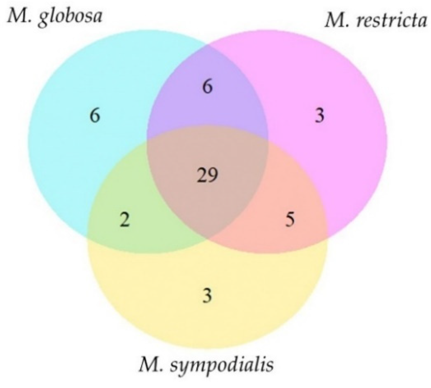 Molecules 28 02620 g002