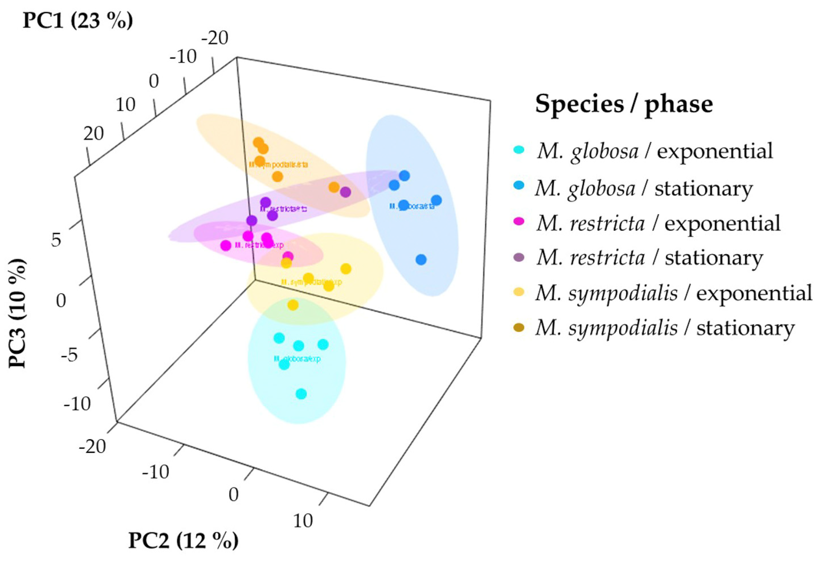Molecules 28 02620 g004
