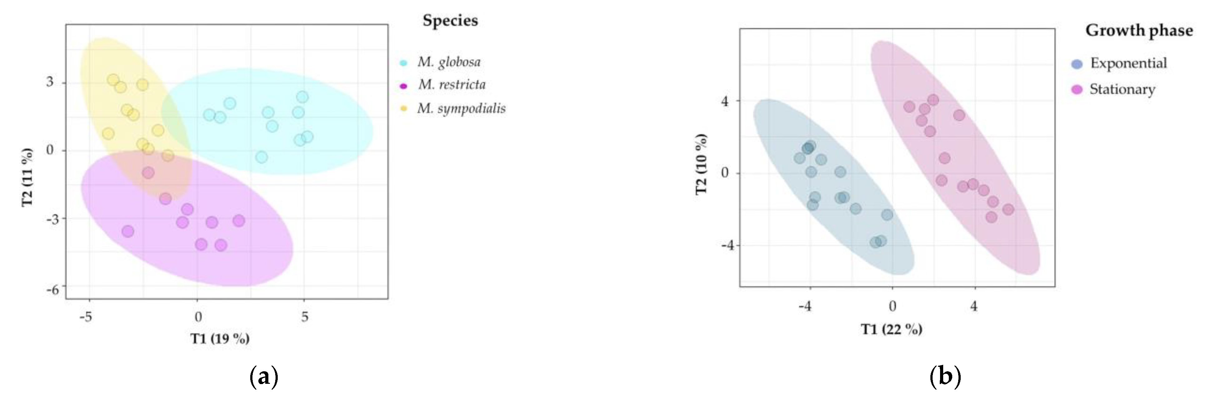 Molecules 28 02620 g005a