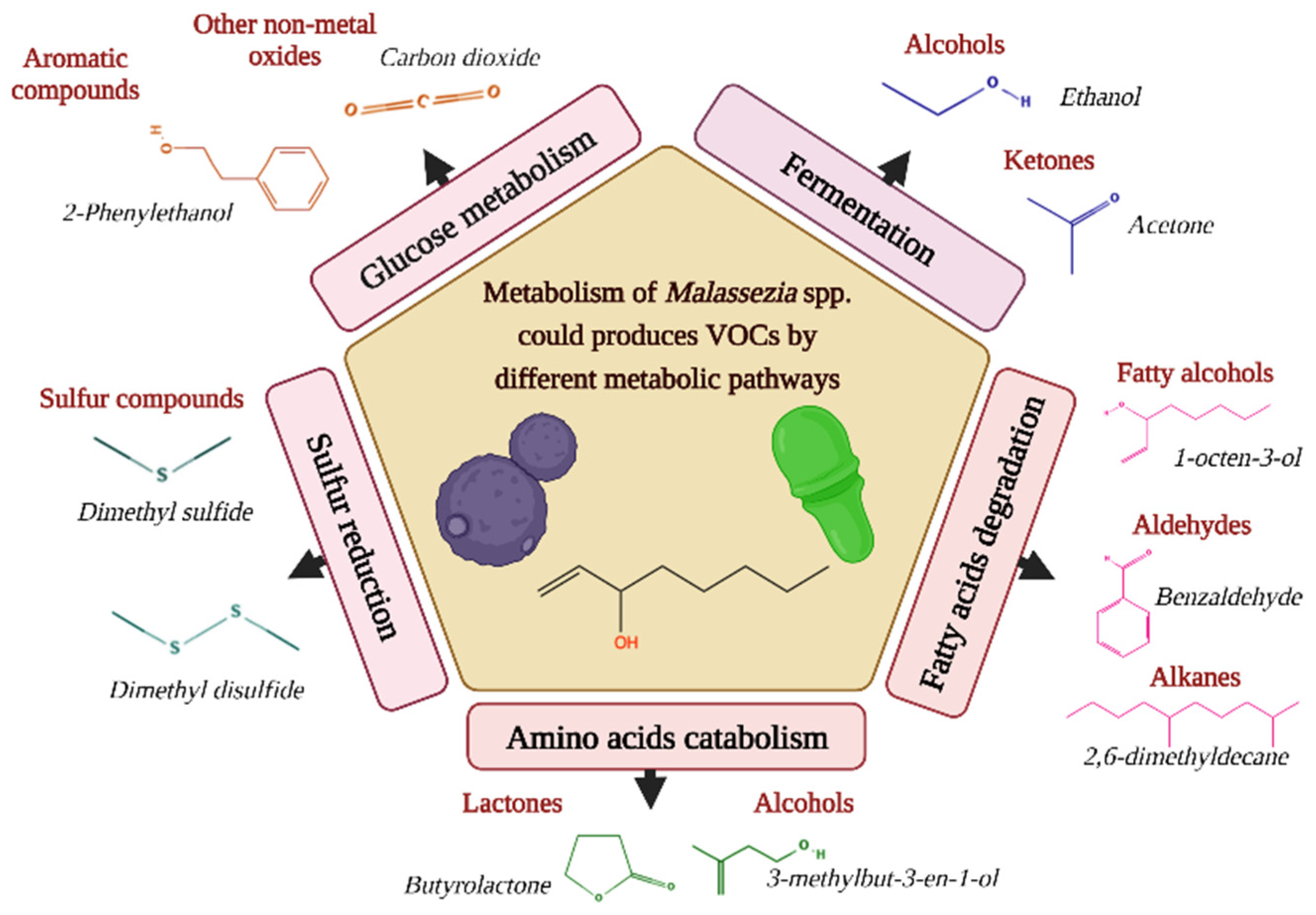 Molecules 28 02620 g006