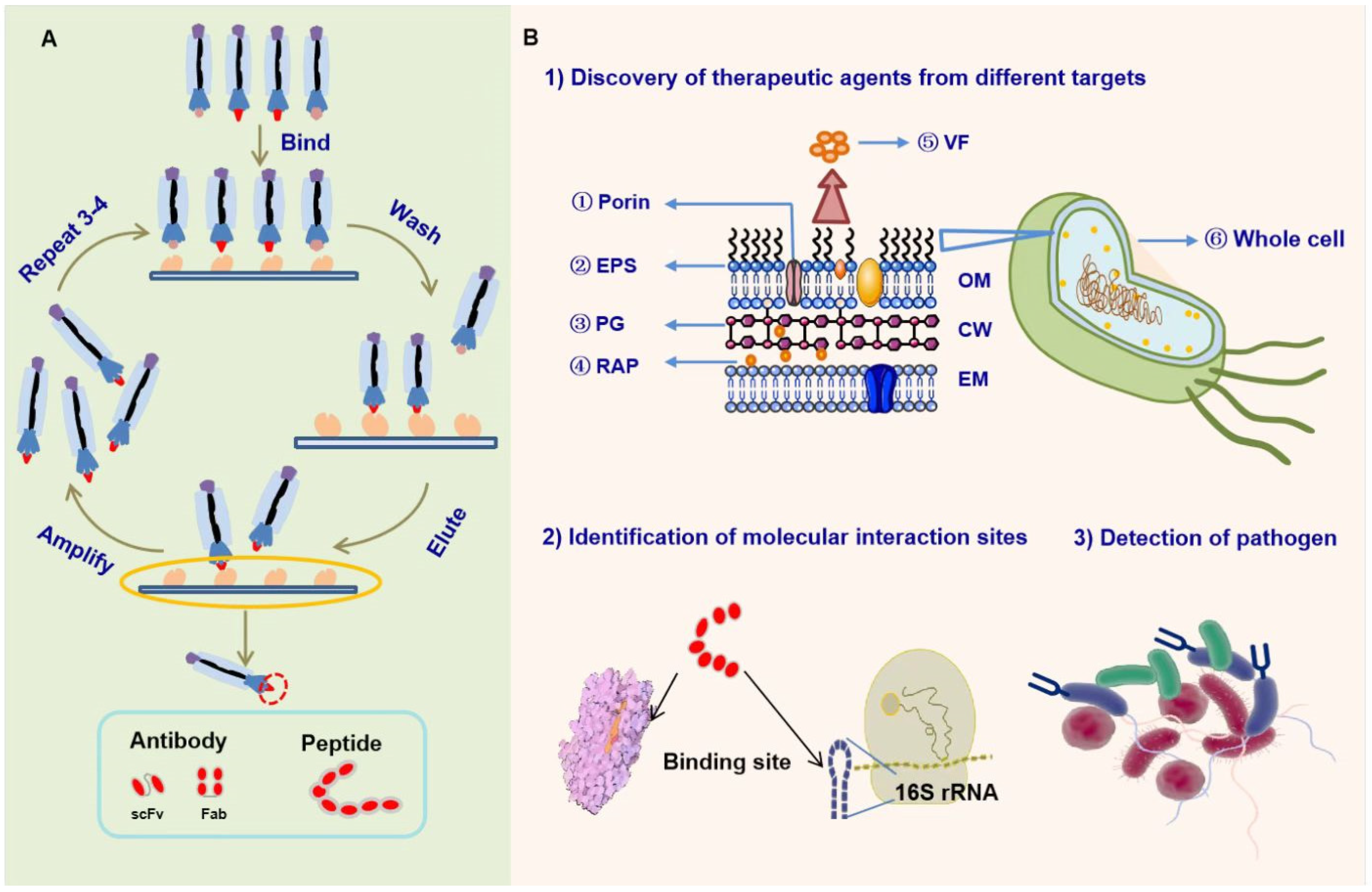 Molecules 28 02621 g001