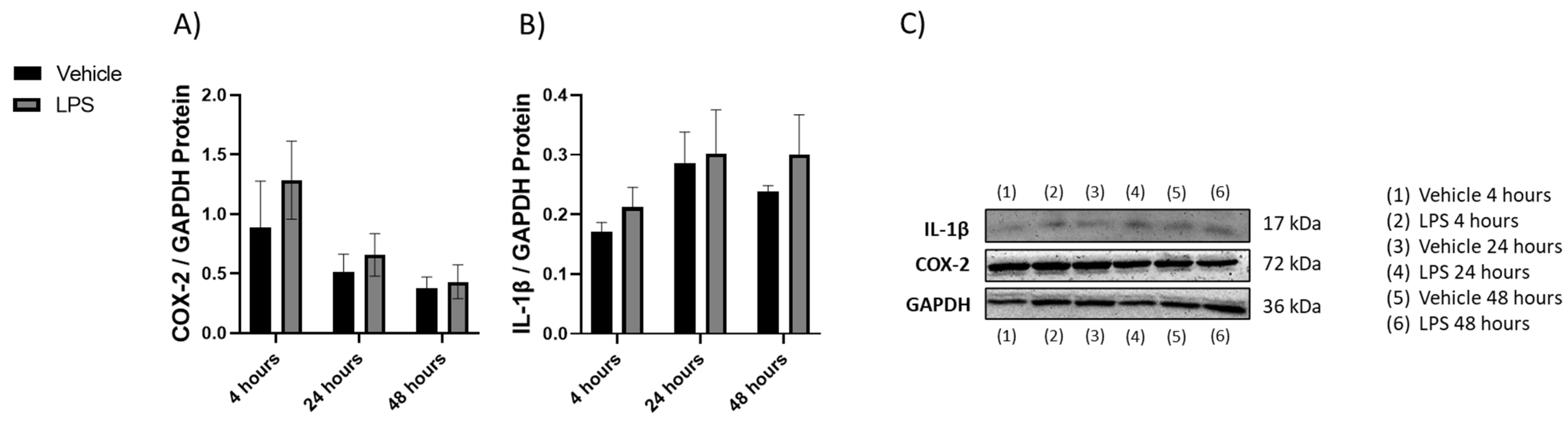 Molecules 28 02624 g002