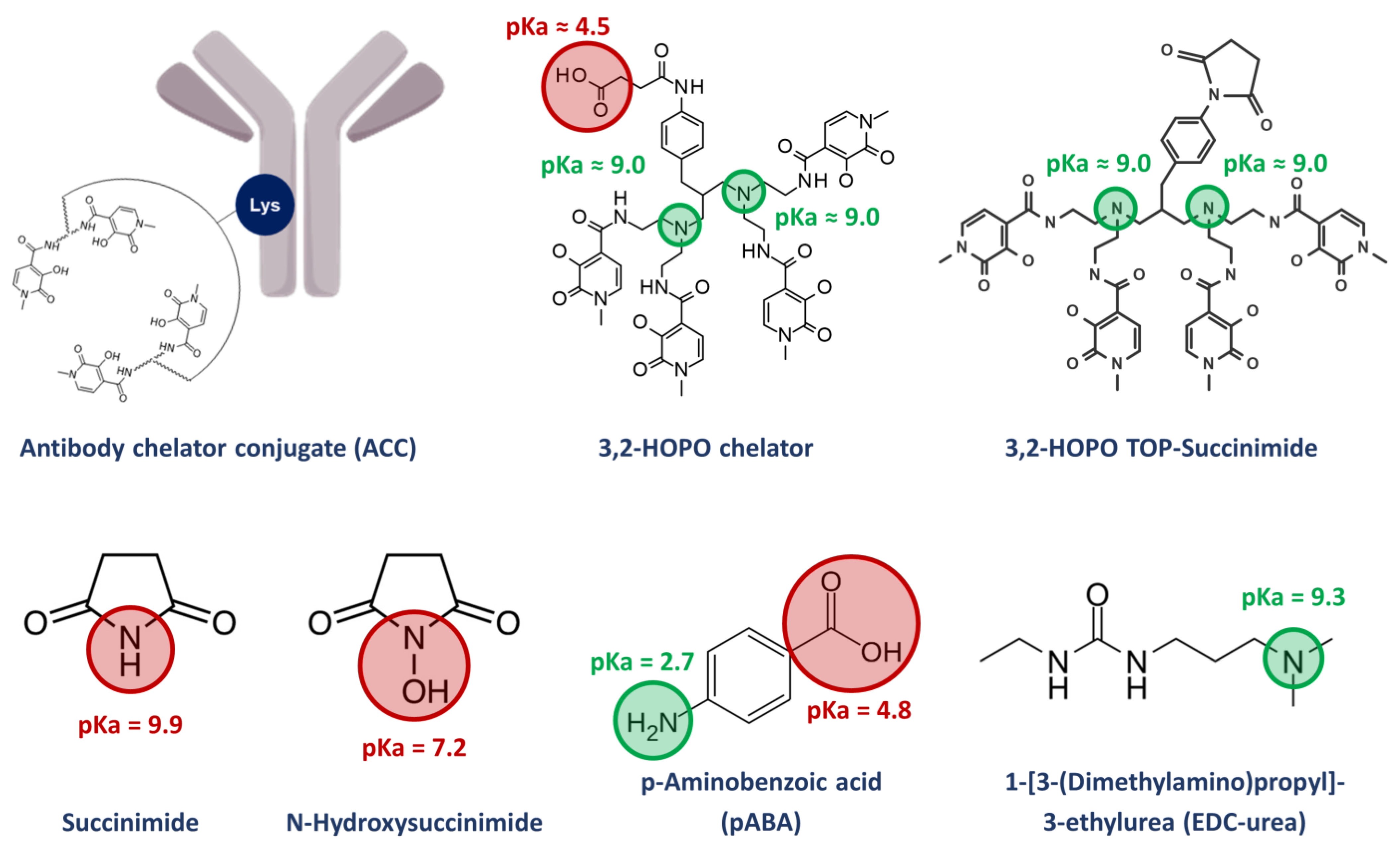 Molecules 28 02626 g001 Molecules 28 02626 g001