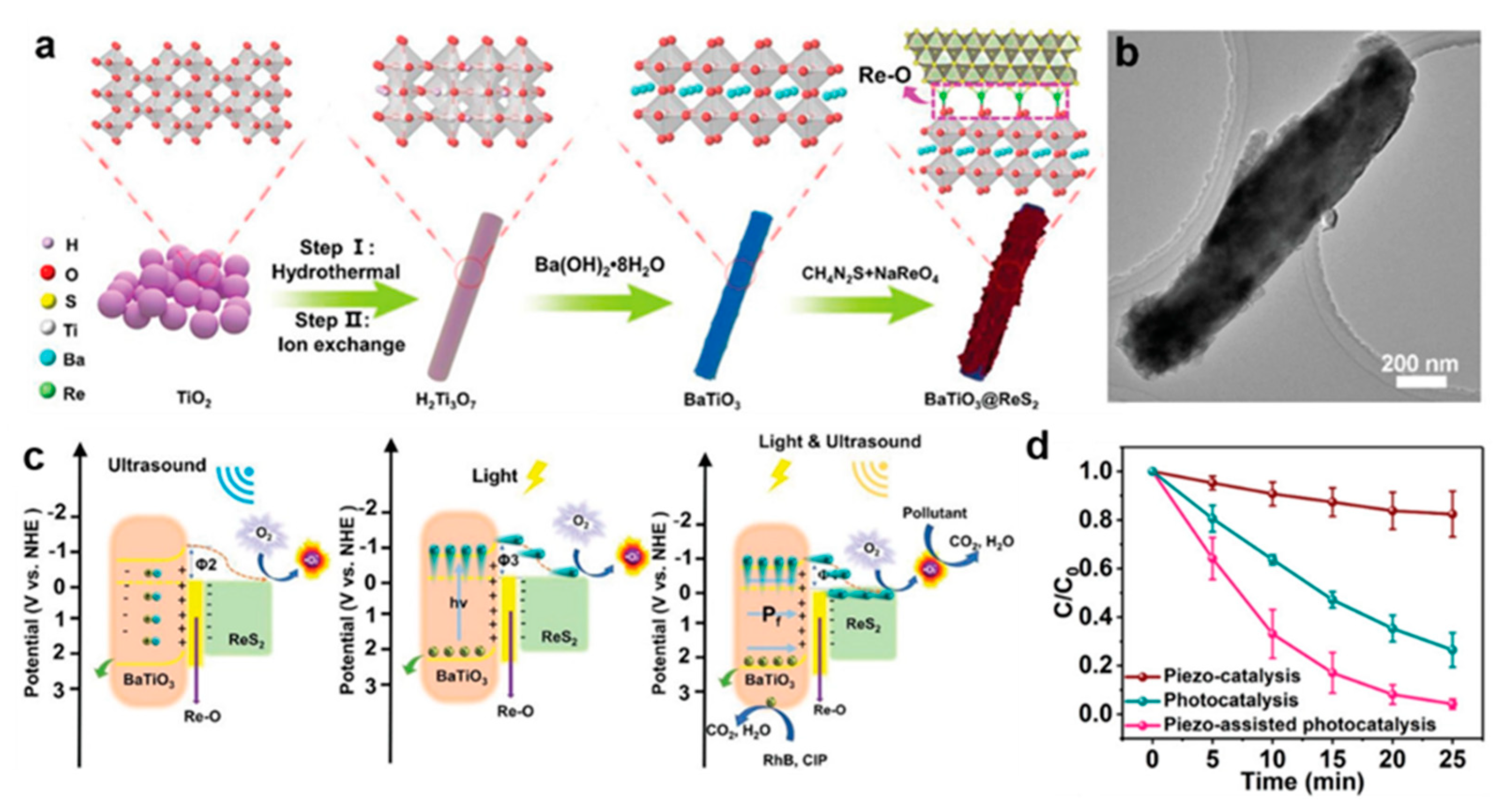 Molecules 28 02627 g007