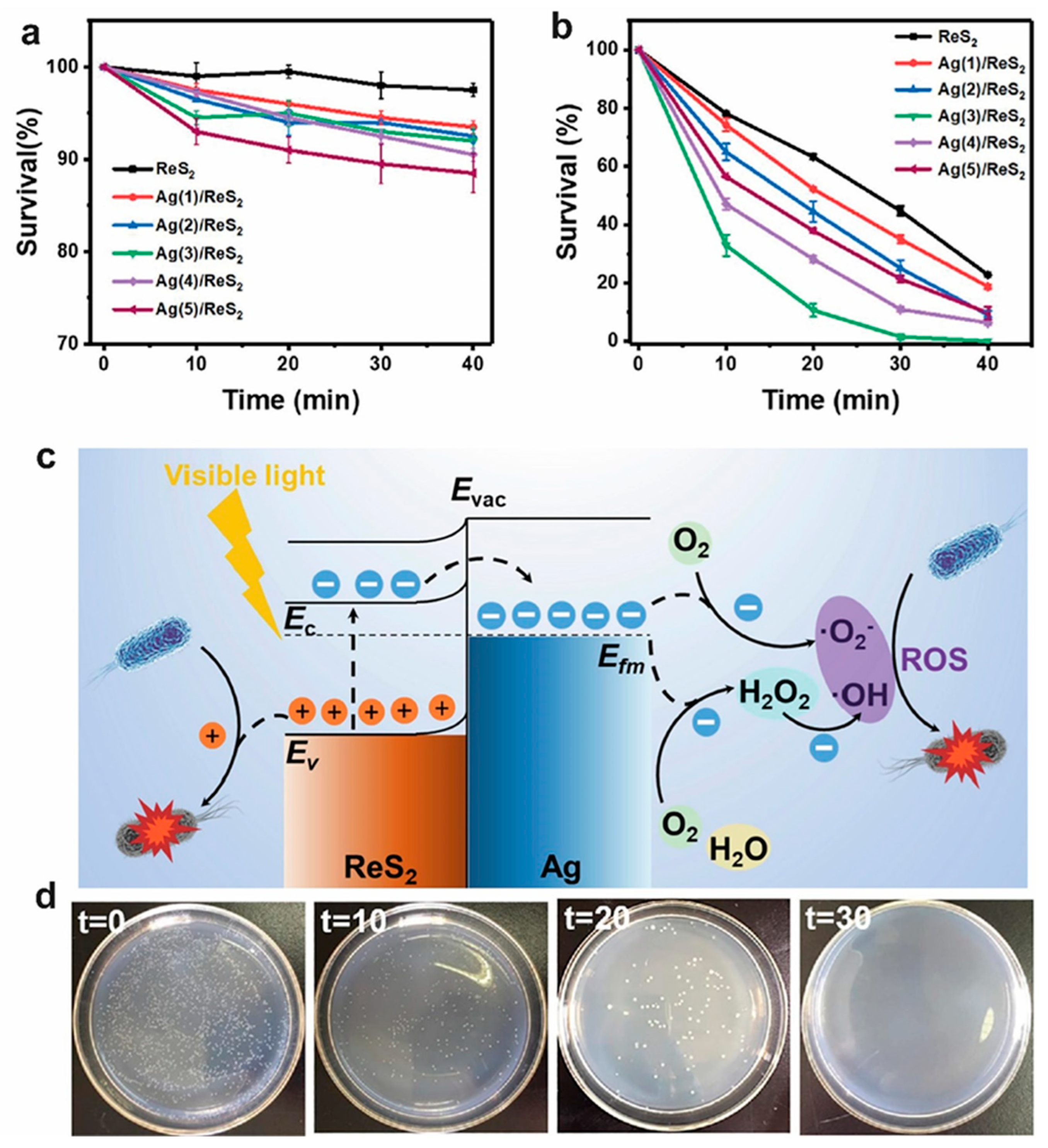 Molecules 28 02627 g009