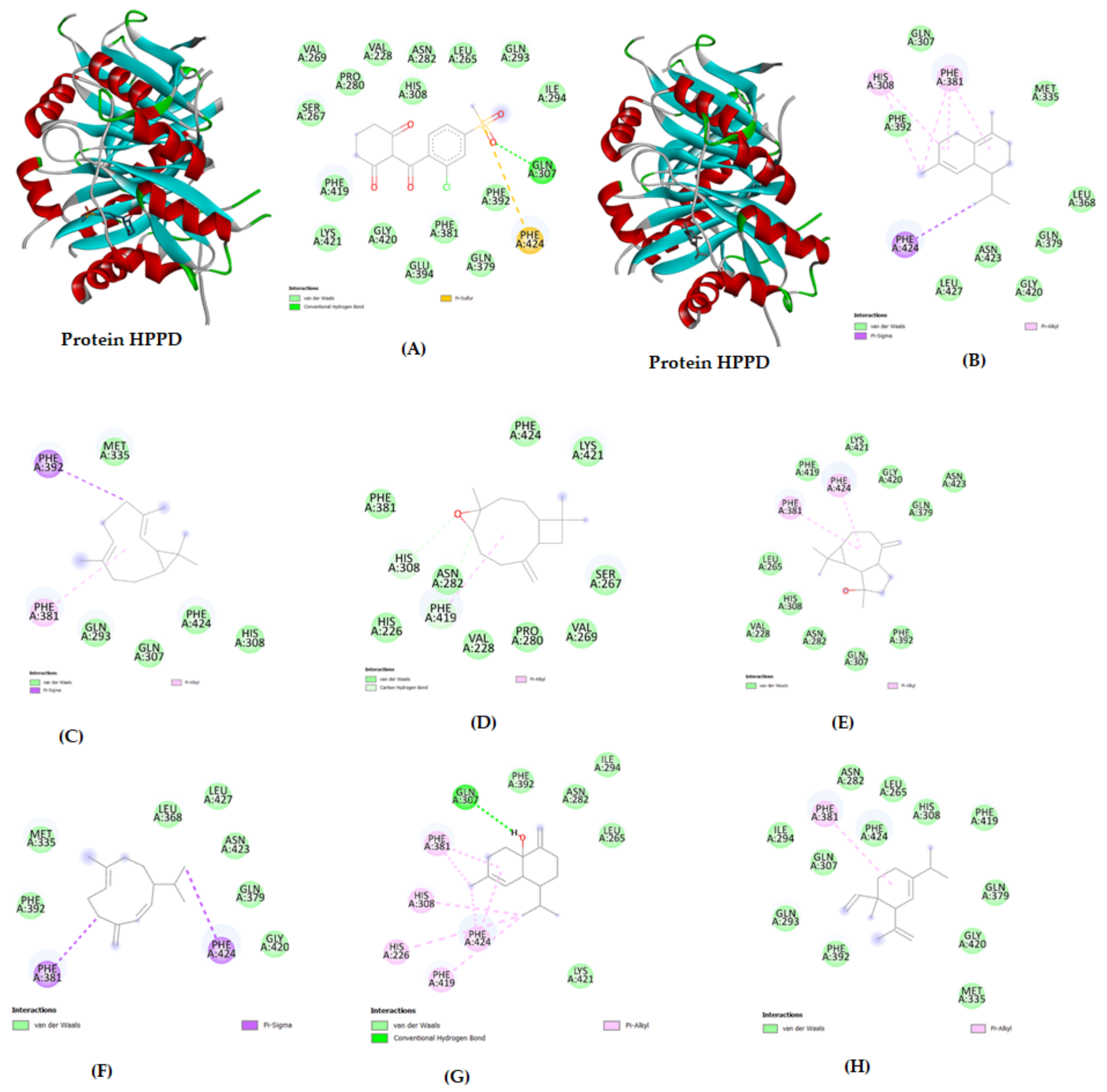 Molecules 28 02633 g003 Molecules 28 02633 g003