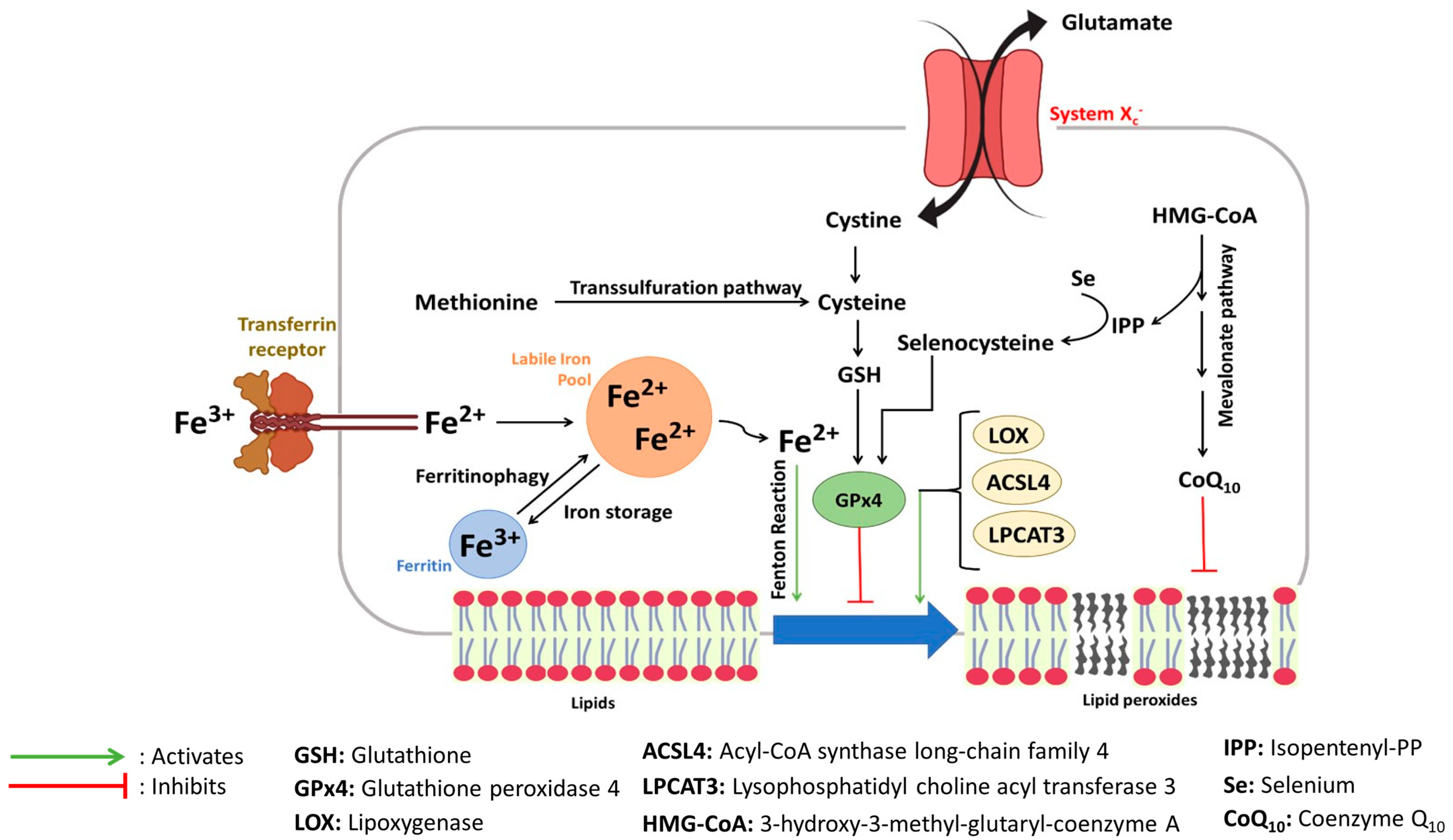 Molecules 28 02636 g003