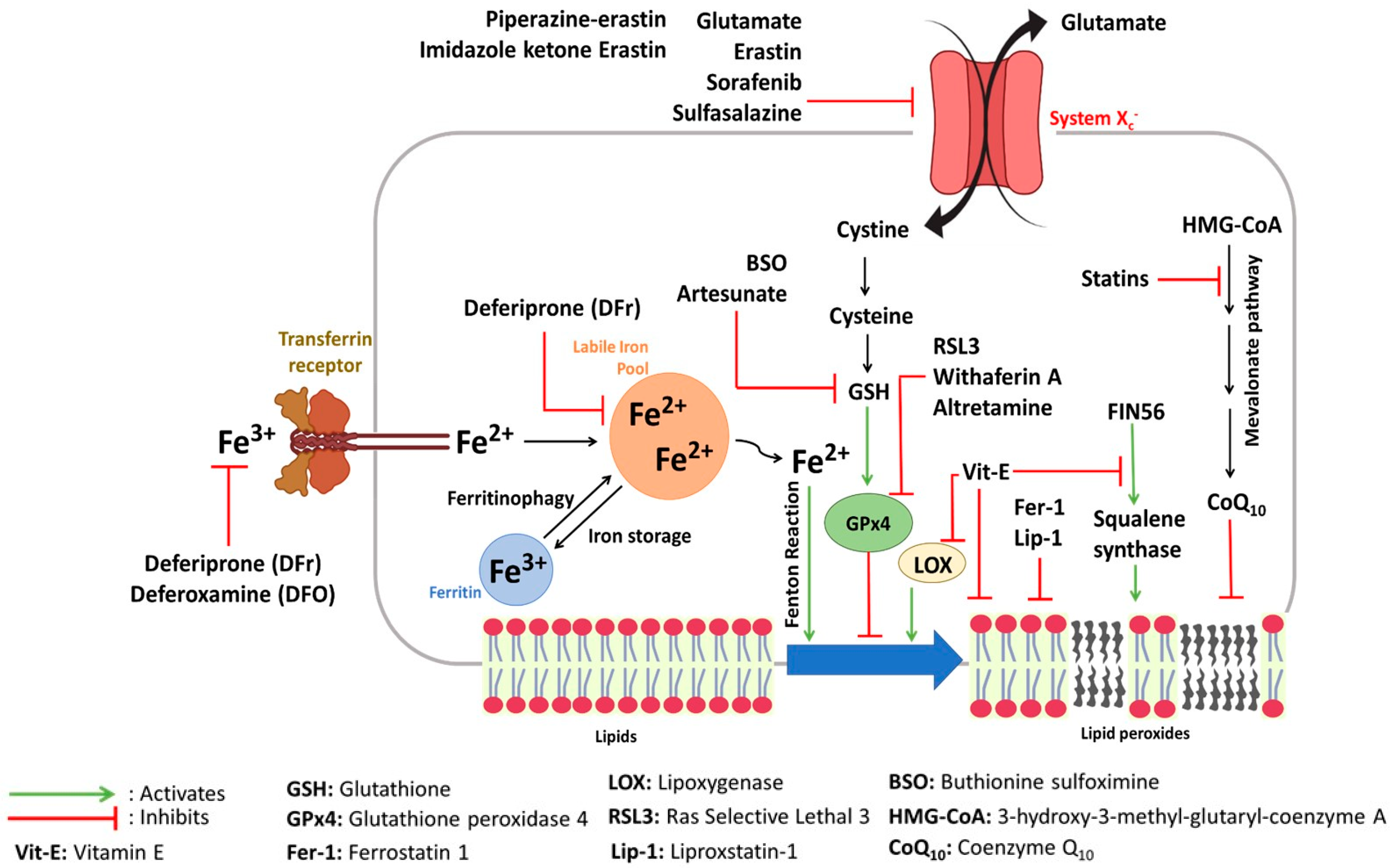 Molecules 28 02636 g005