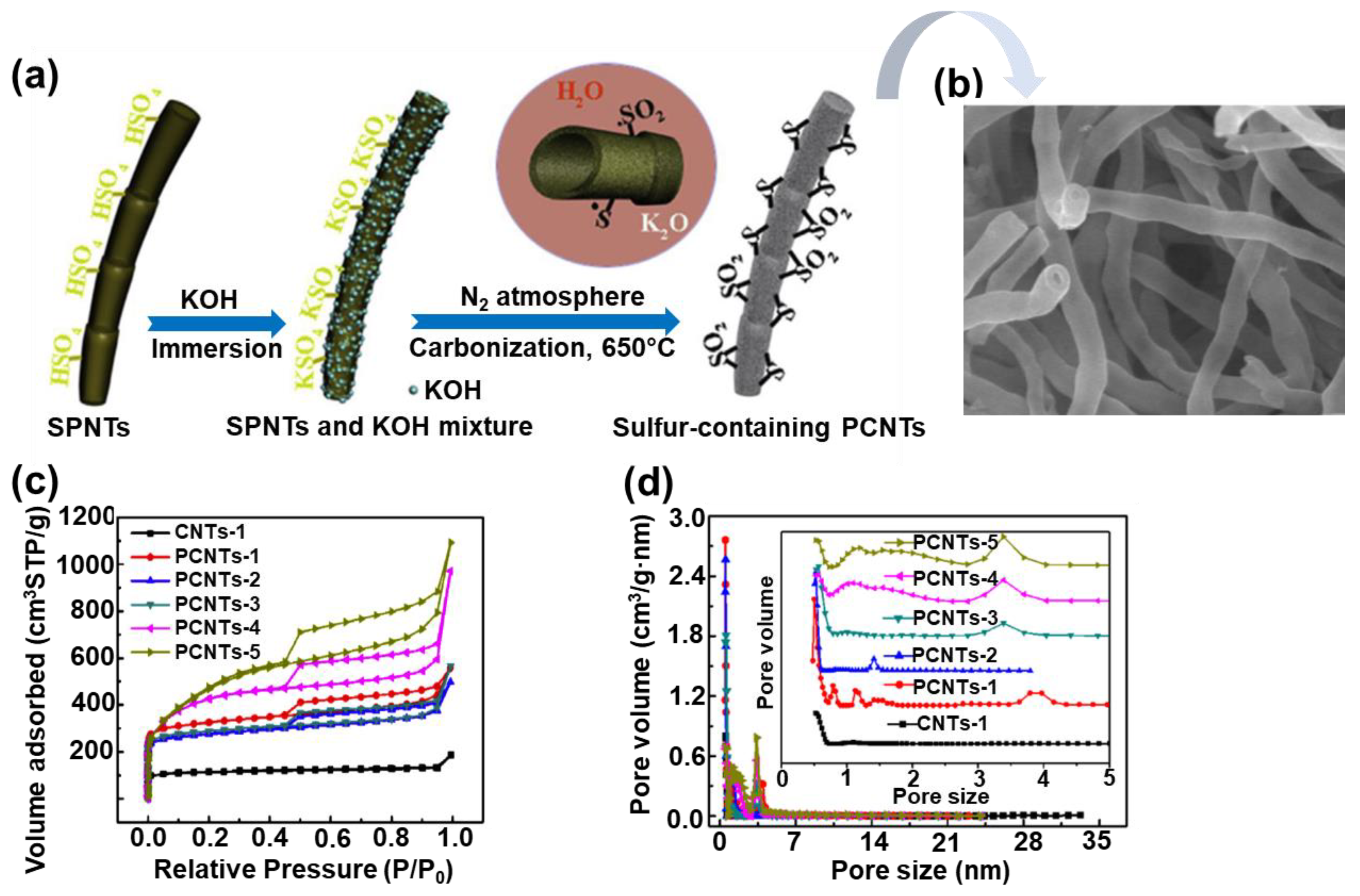 Molecules 28 02639 g008
