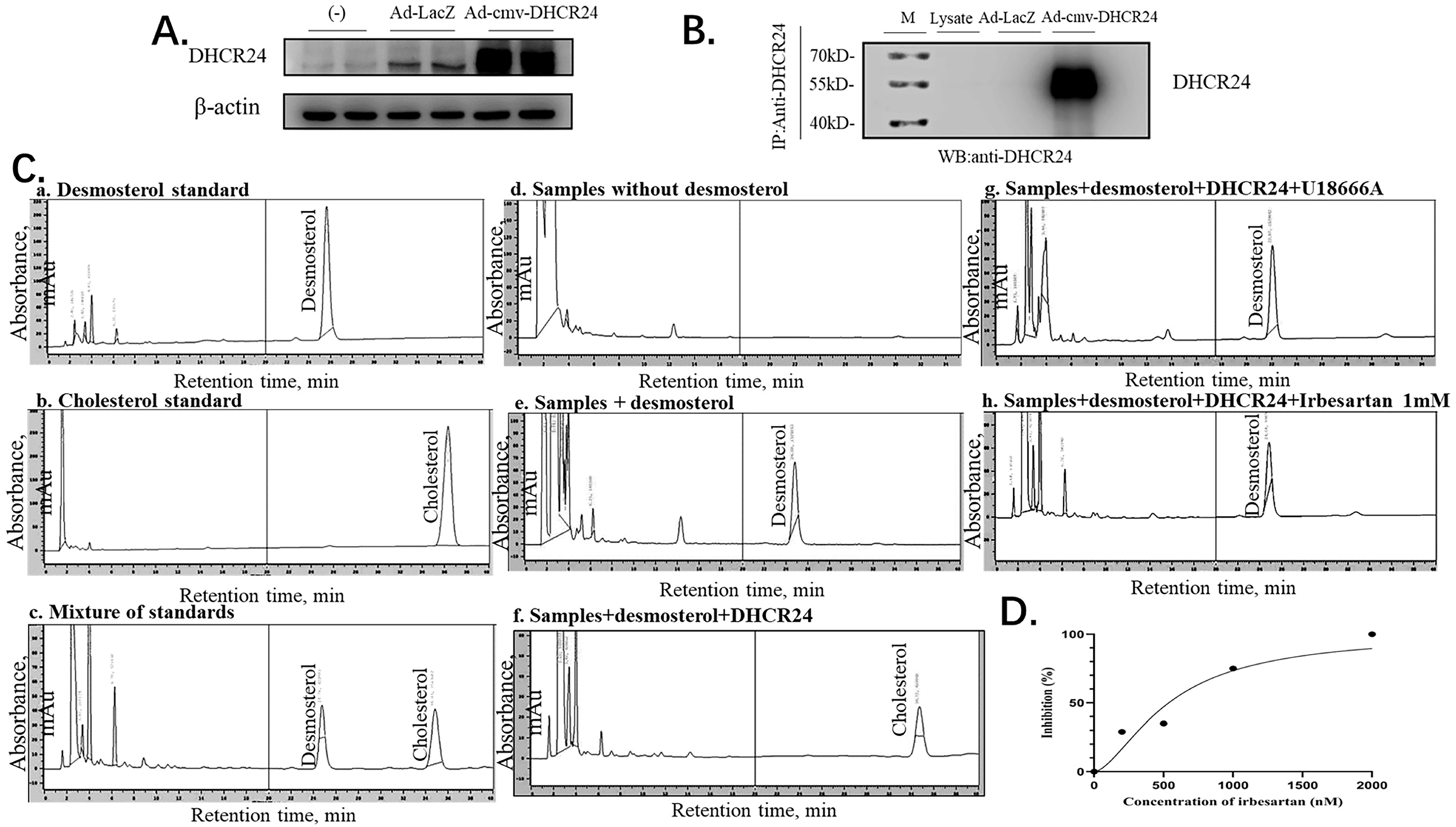 Molecules 28 02643 g006