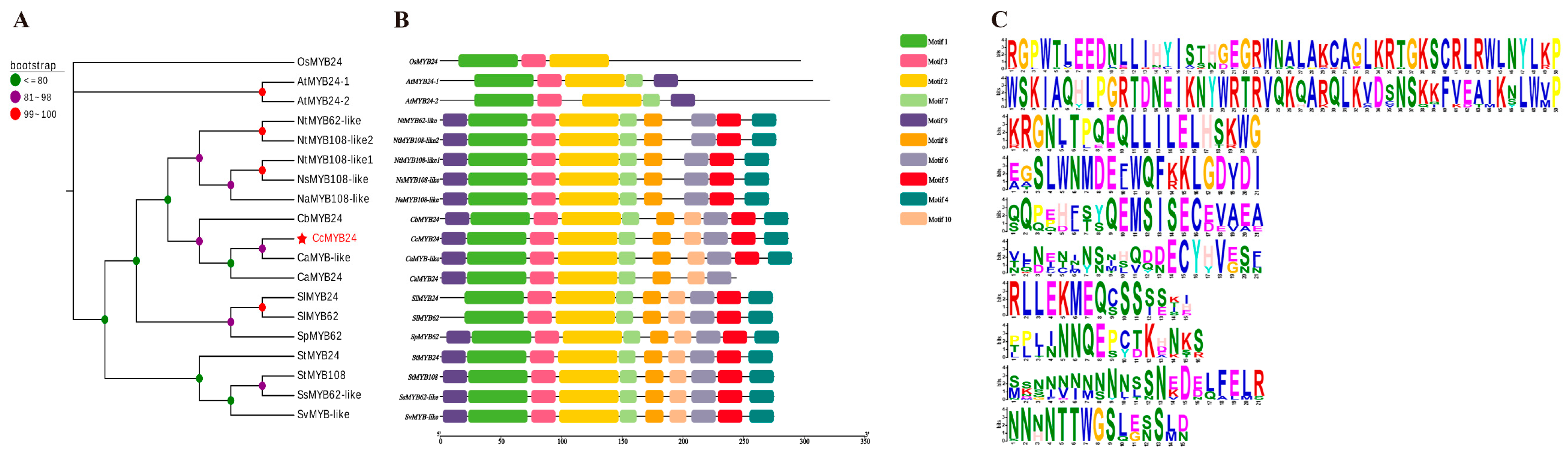 Molecules 28 02644 g001 Molecules 28 02644 g001