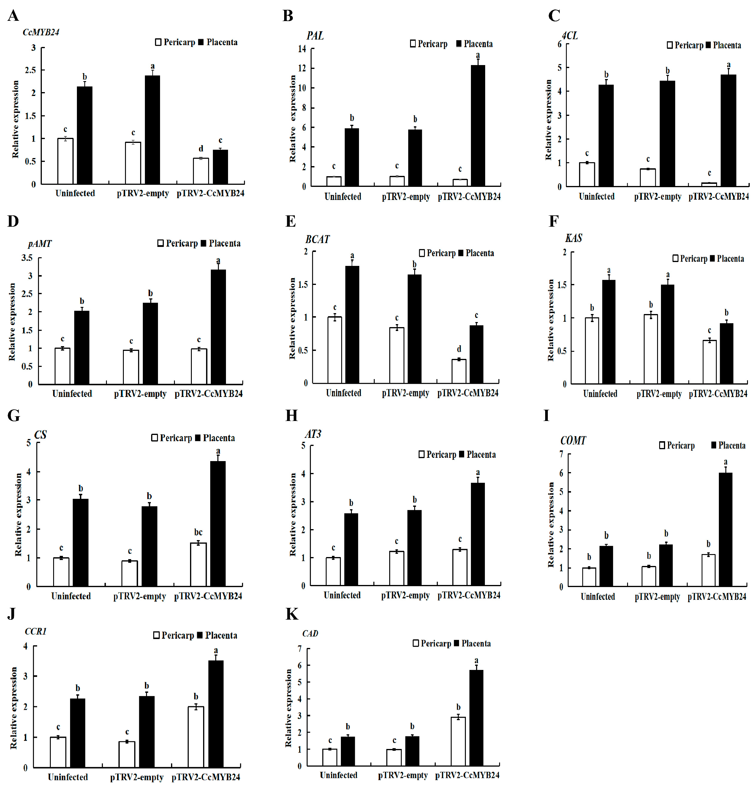 Molecules 28 02644 g004 Molecules 28 02644 g004
