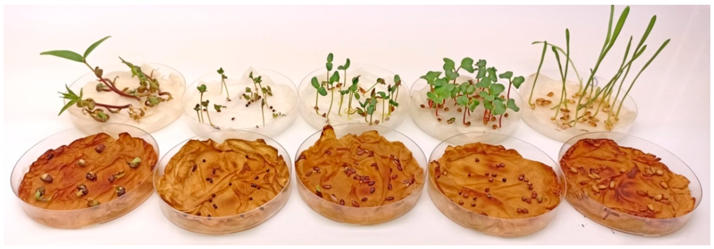 Molecules 28 02645 g002