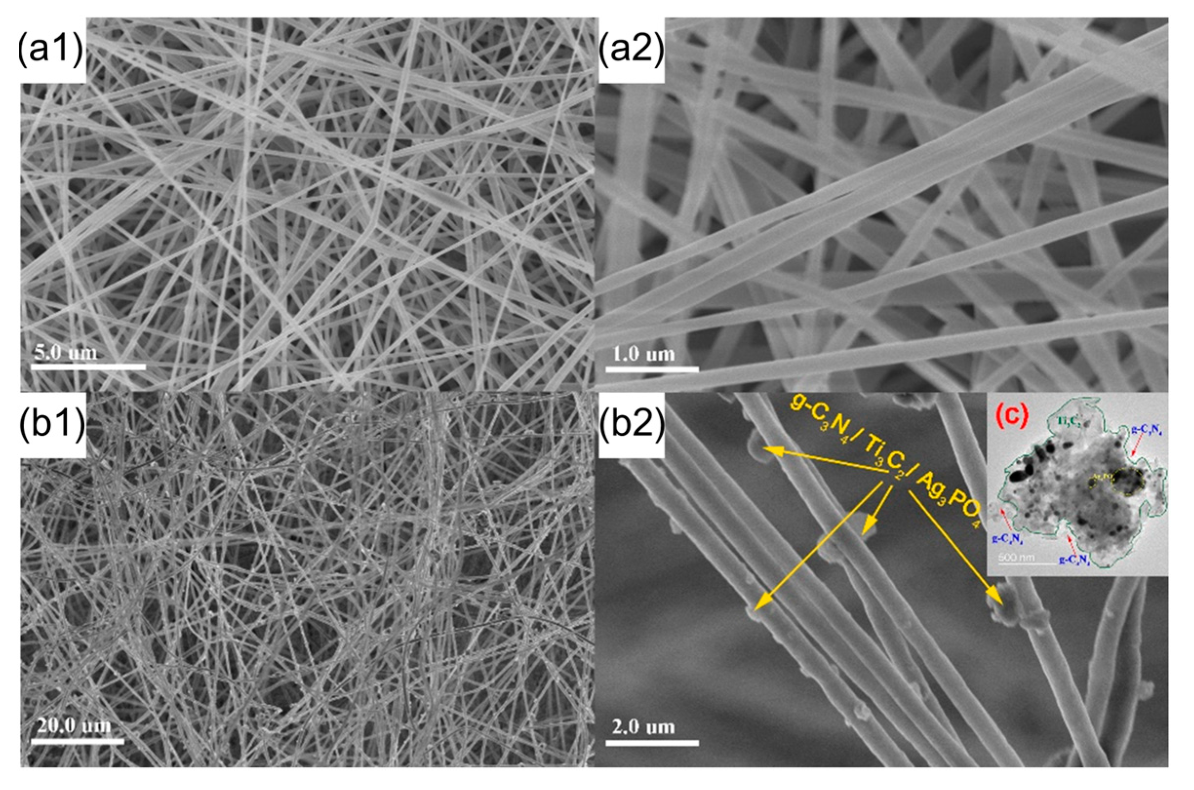 Molecules 28 02647 g005