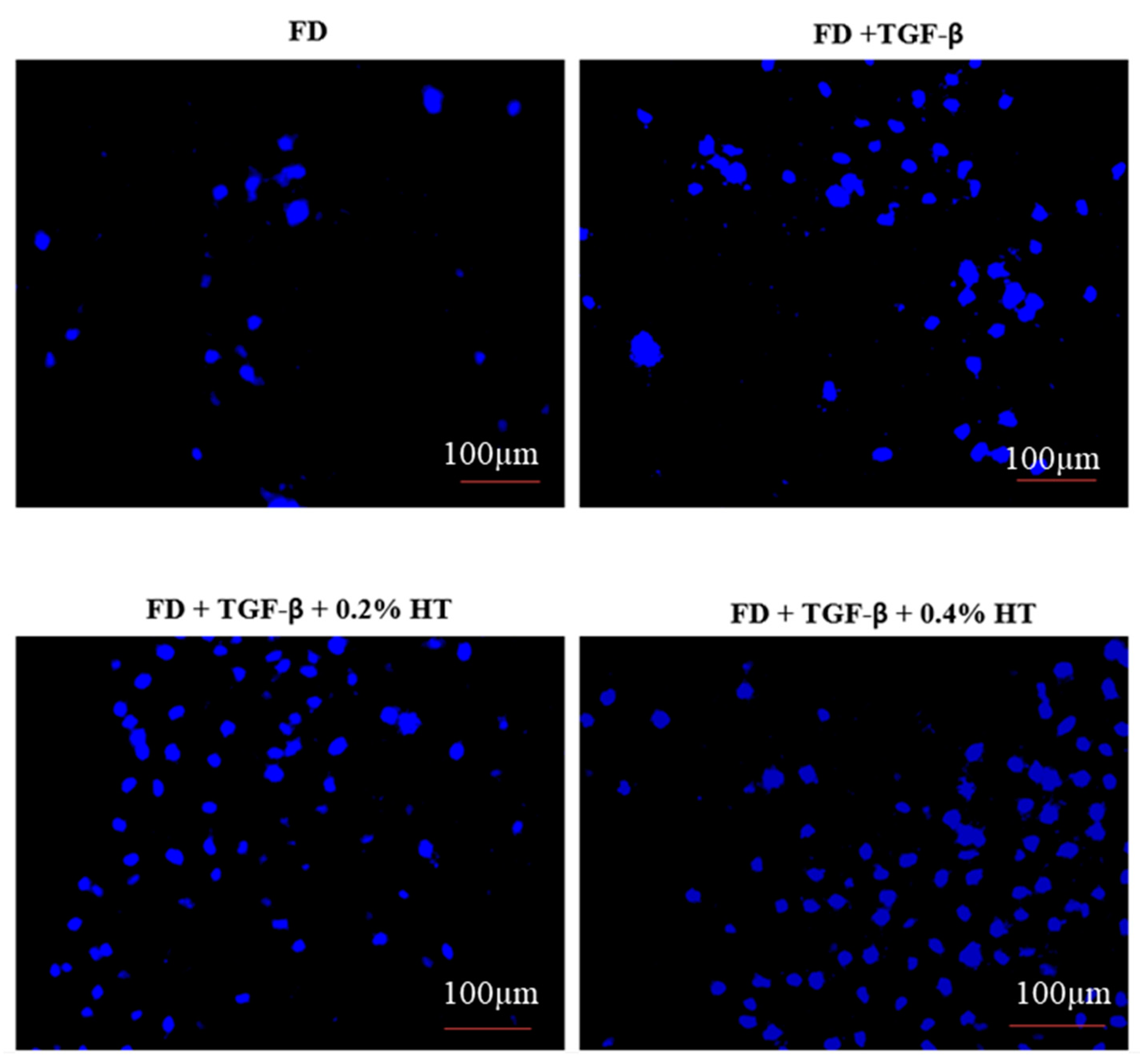 Molecules 28 02652 g005 Molecules 28 02652 g005
