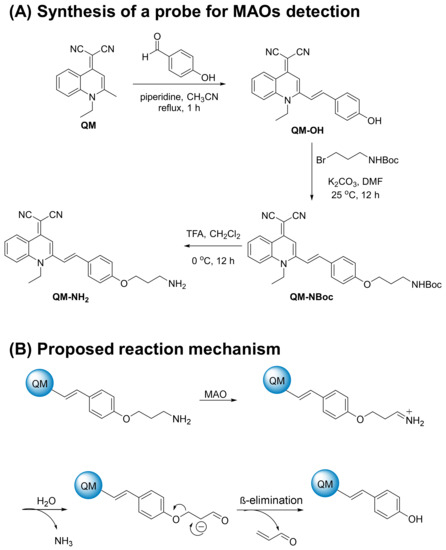 Molecules 28 02655 g001