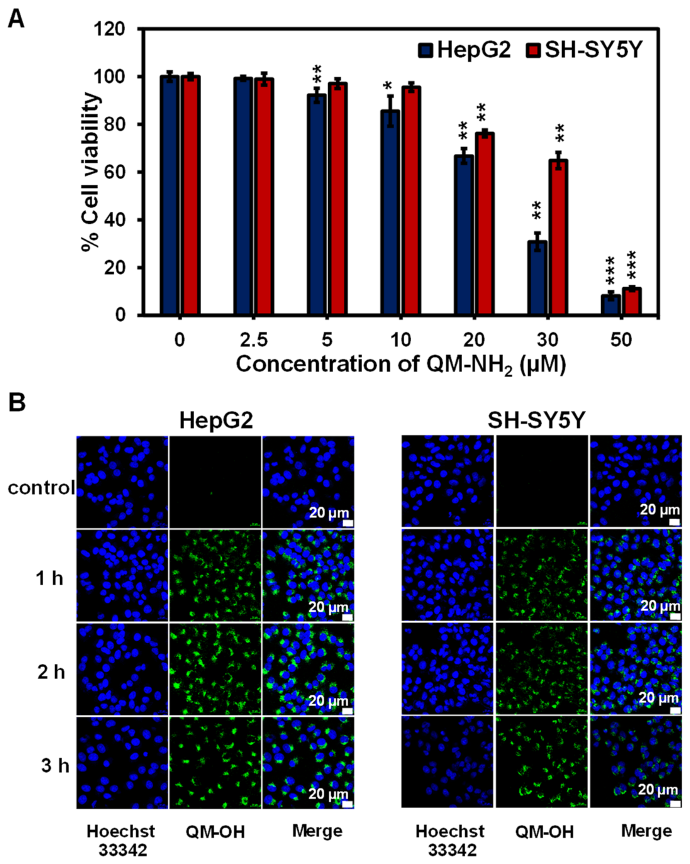 Molecules 28 02655 g007