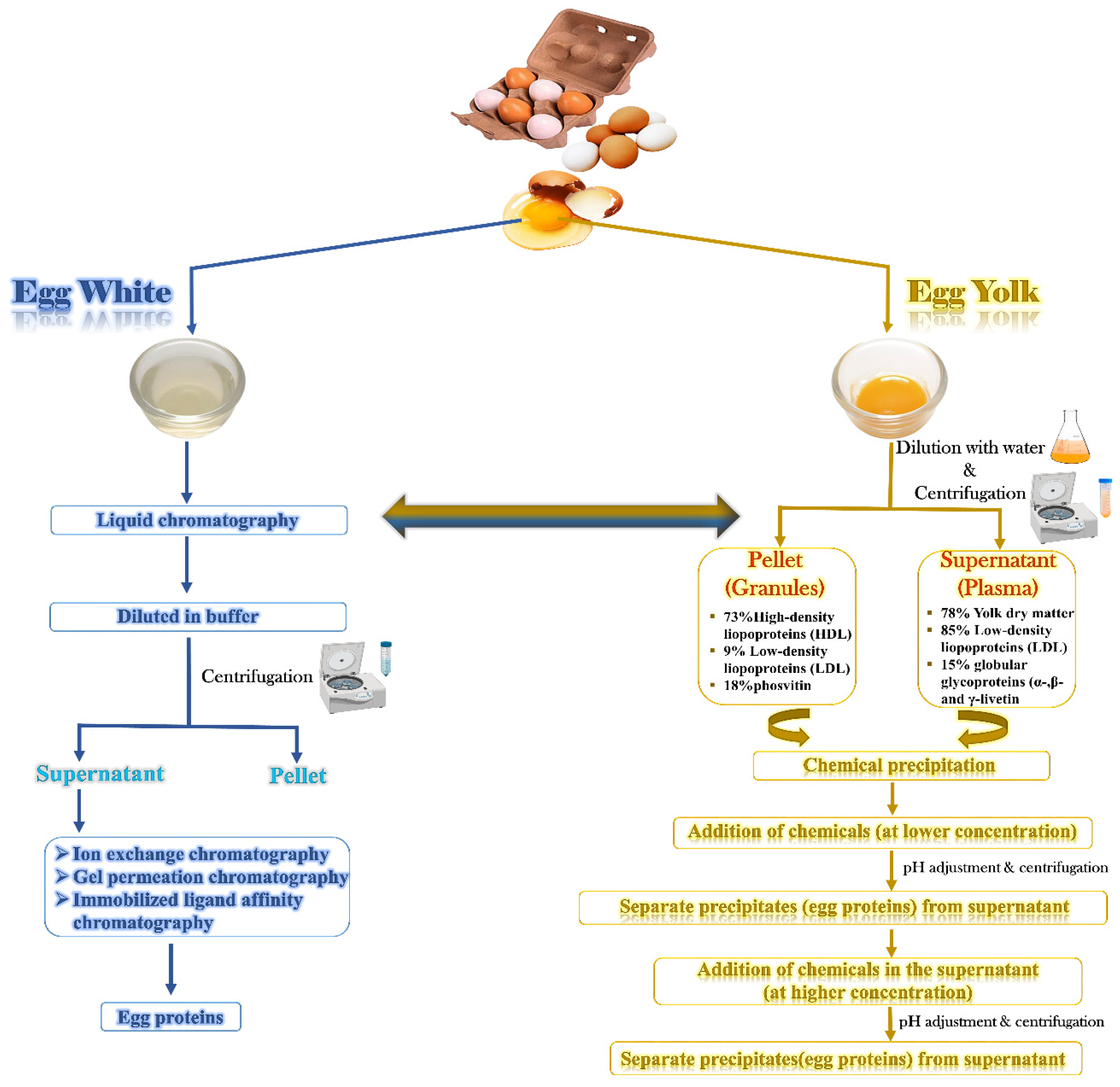 Molecules 28 02658 g001