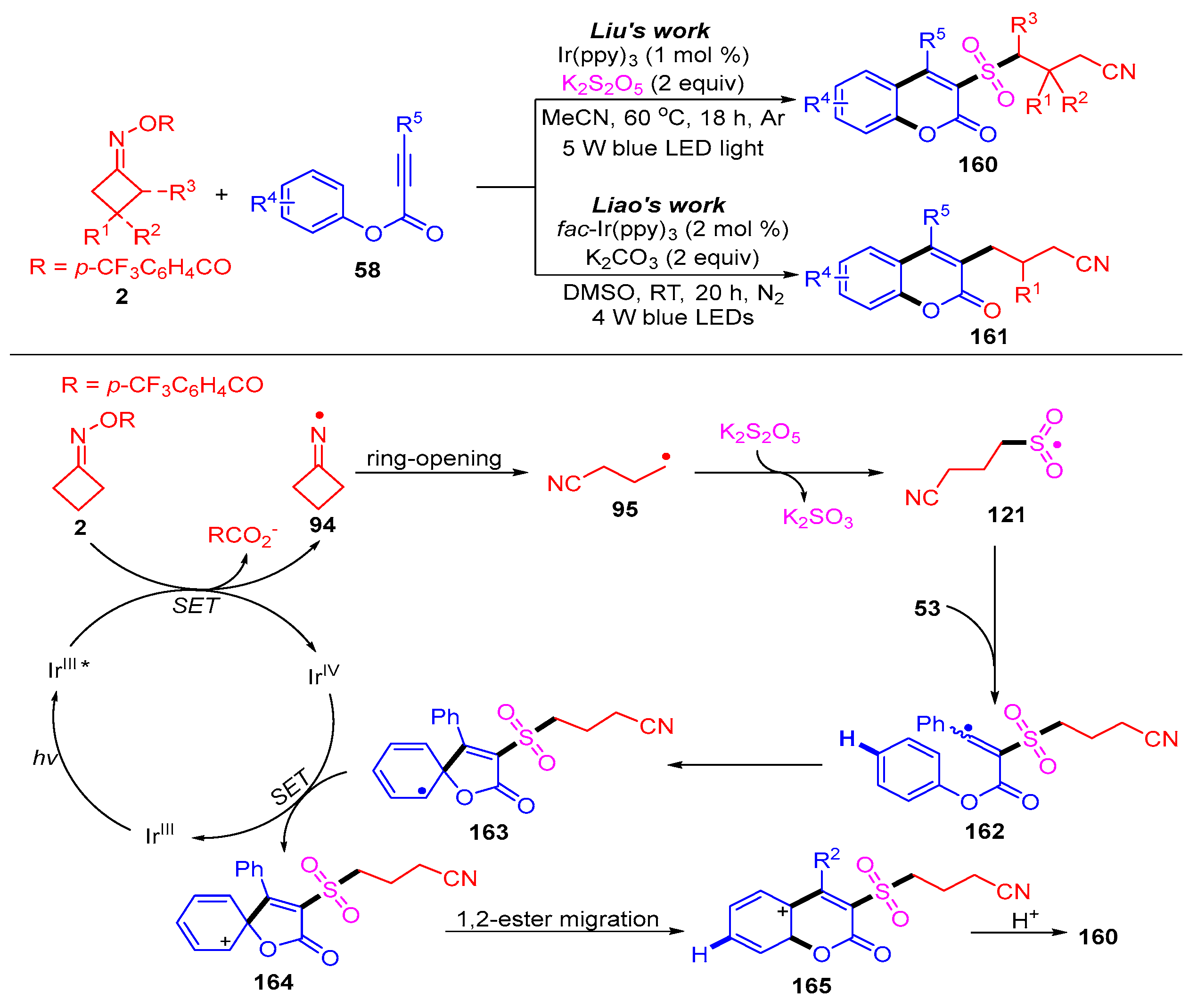 Molecules 28 02667 sch025