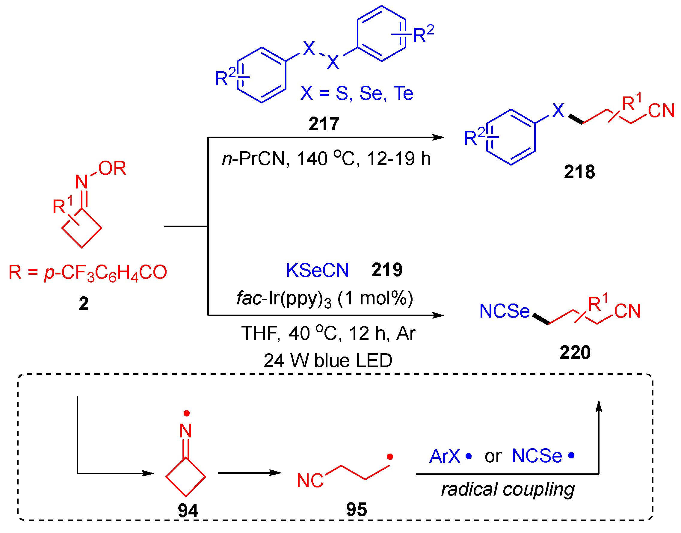 Molecules 28 02667 sch037