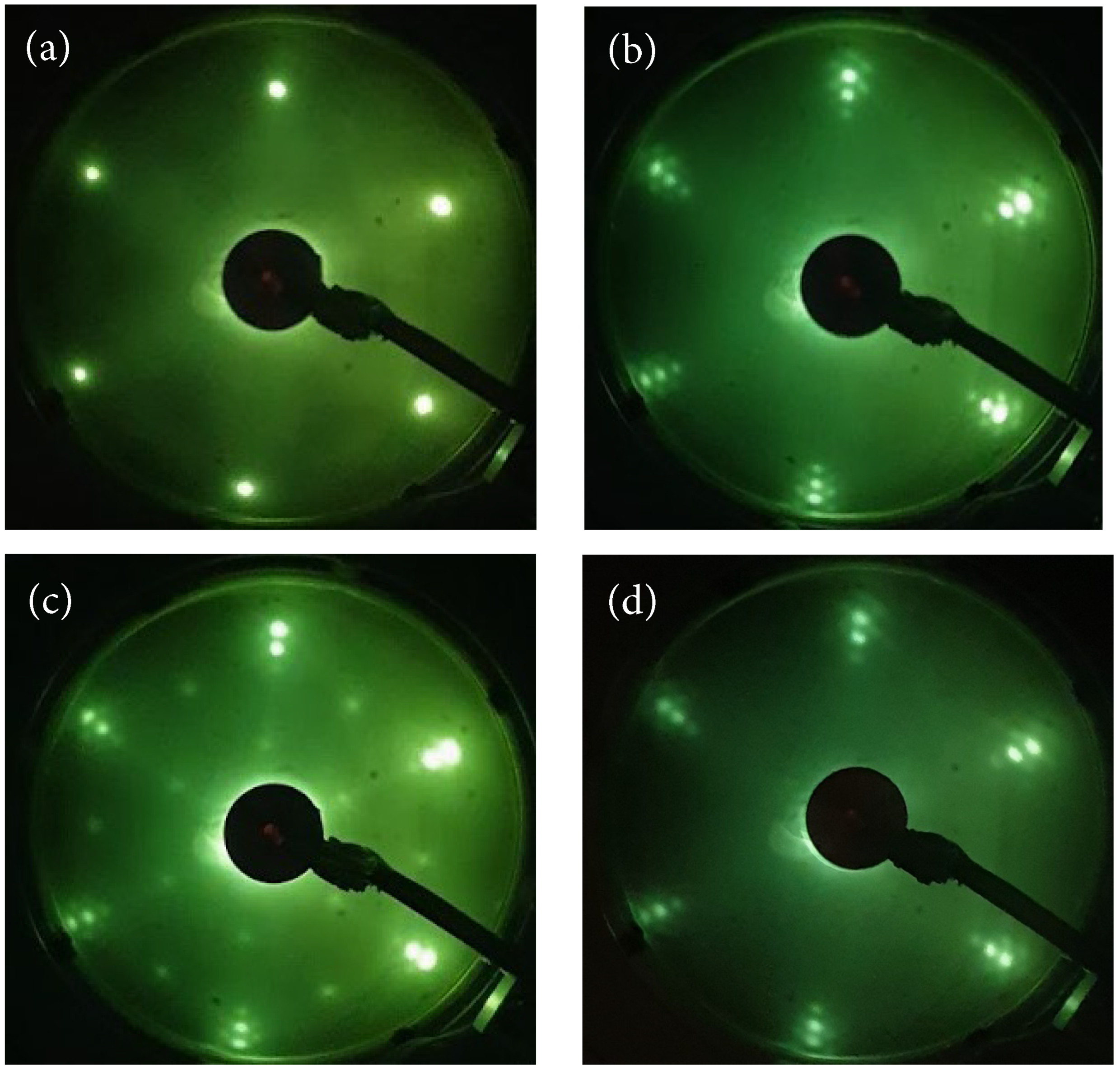 Molecules 28 02670 g001