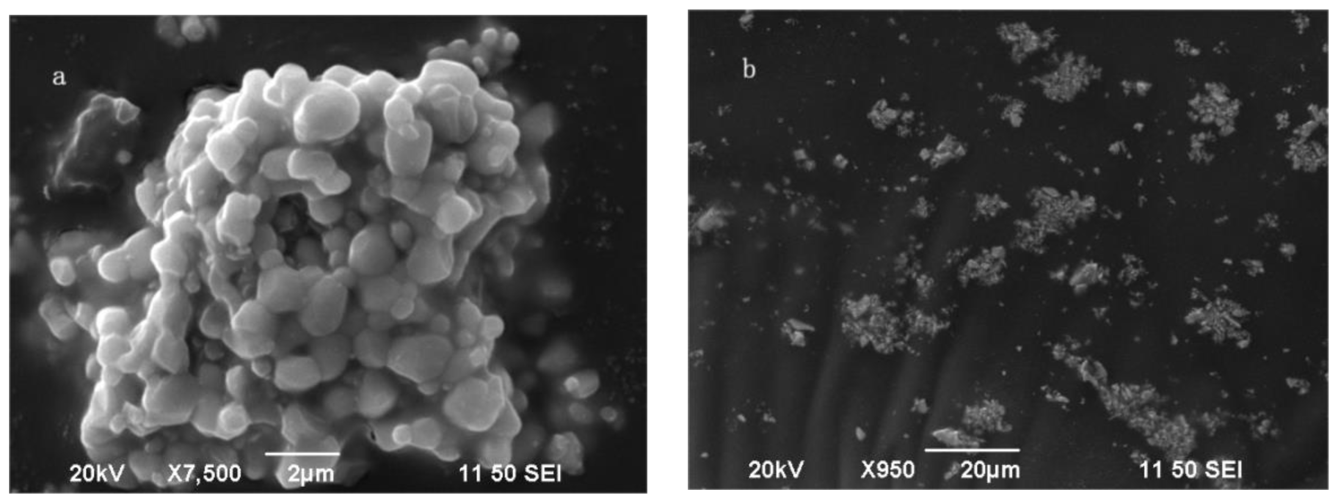Molecules 28 02681 g006