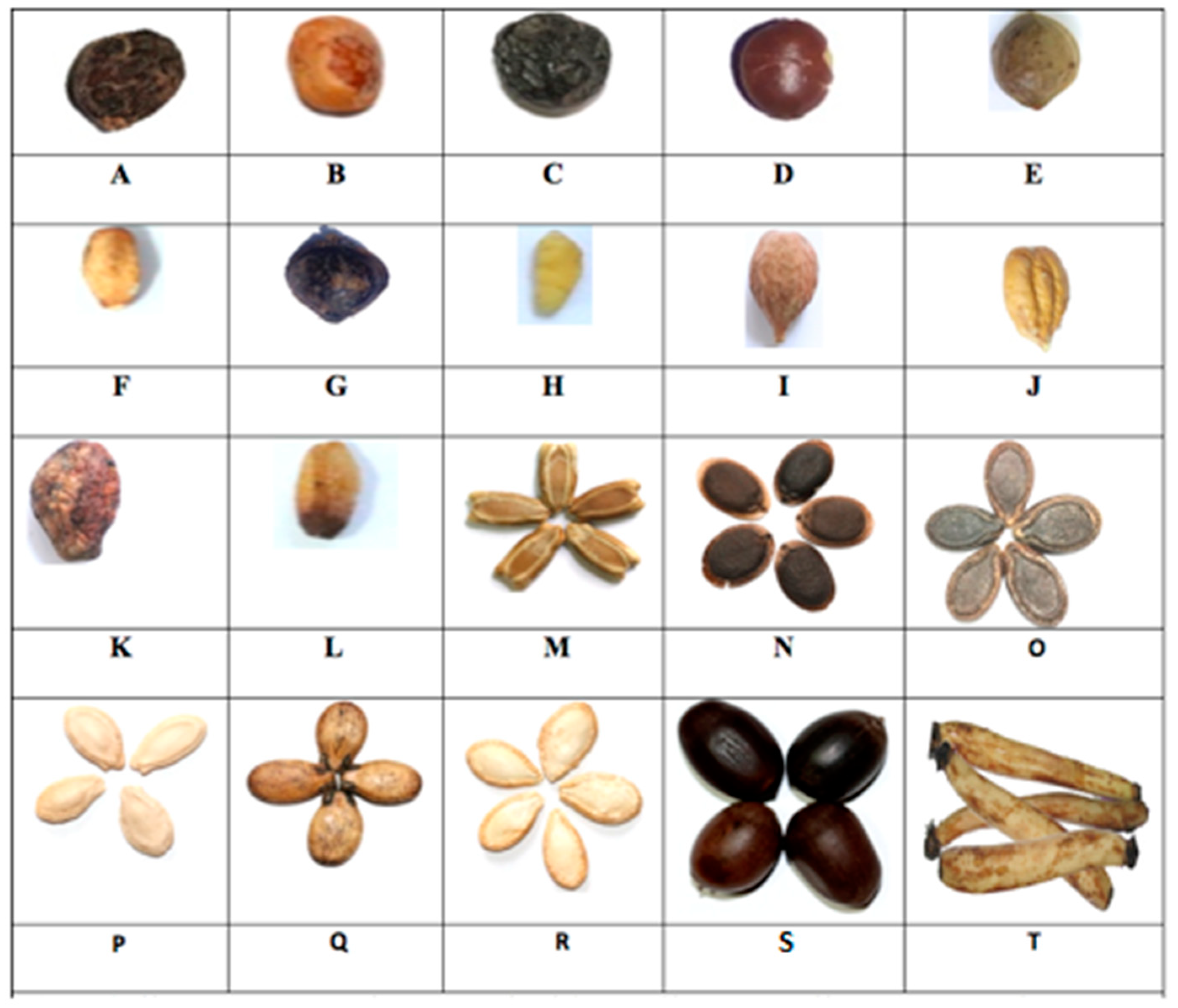 Molecules 28 02682 g001 Molecules 28 02682 g001