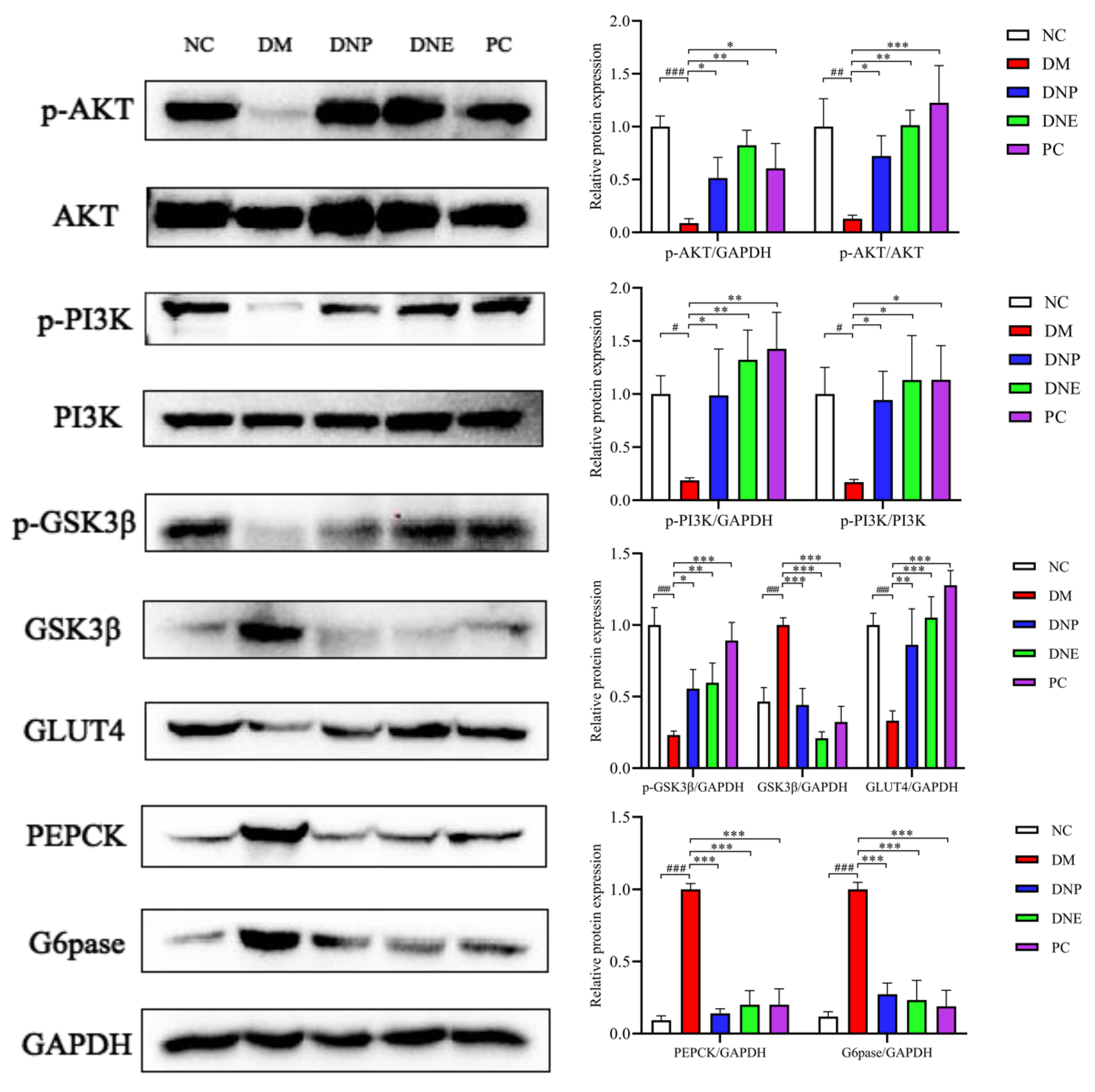 Molecules 28 02683 g018
