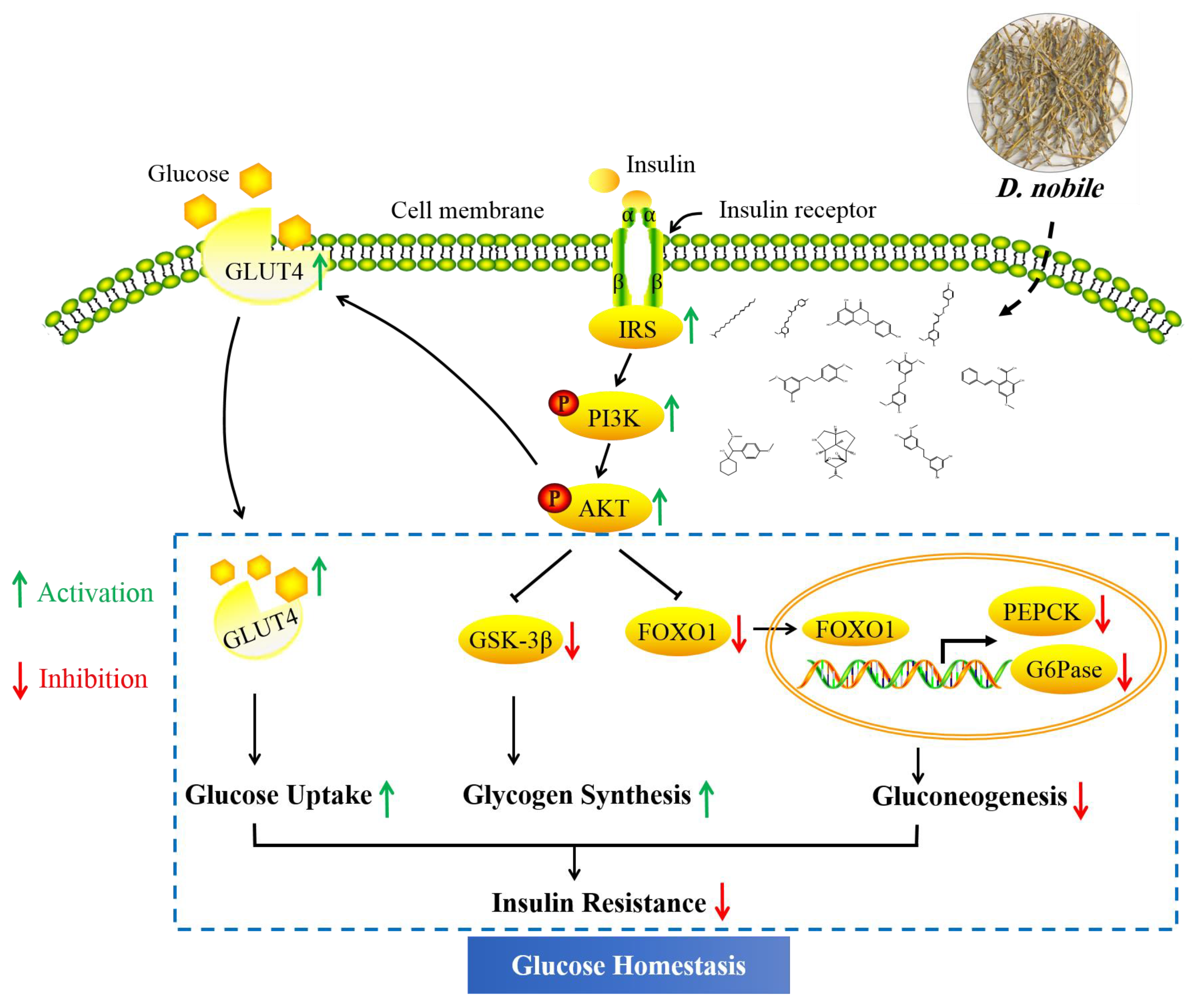 Molecules 28 02683 g019